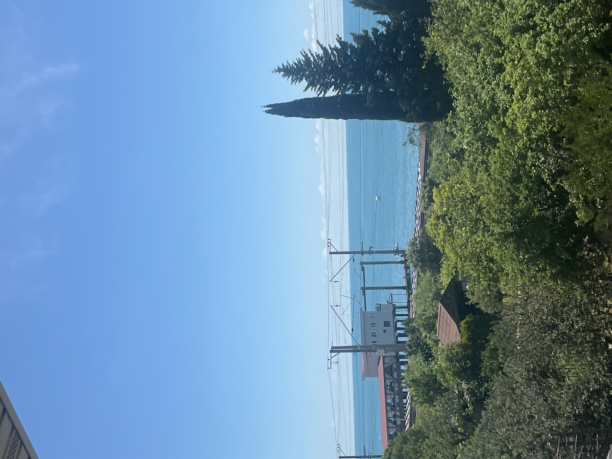A vertical, eye-level, full shot captures a clear blue sky over a body of water, bordered by a dense green forest and a section of what appears to be a train track and station. In the foreground, lush green trees fill the bottom two-thirds of the frame. A small, brown-roofed structure peeks out from the foliage in the middle ground. Beyond the trees, a raised train track is visible, with a building structure situated on it. The building has a light-colored facade and a reddish-brown roof. Overhead, power lines crisscross the scene, supported by metal poles. The middle ground also features two tall, dark green evergreen trees, one slender and columnar and the other broader and conical. The background consists of a vast expanse of bright blue water, likely the sea, stretching to the horizon. The water is calm with a subtle shimmer and a few distant, indistinct objects. The overall scene is bathed in bright daylight, suggesting a clear, sunny day.