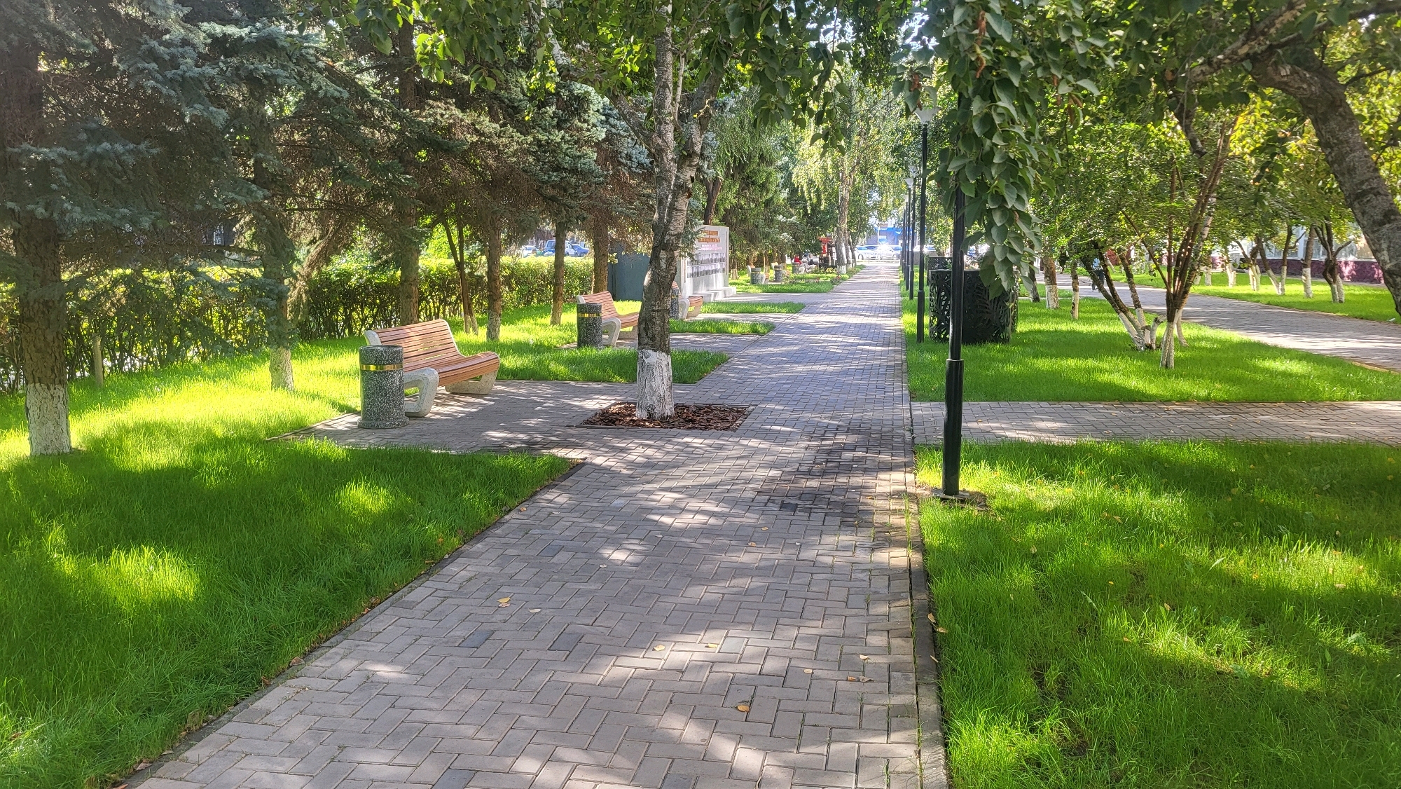 The image depicts a paved pedestrian walkway lined with green grass and trees in a city park. Benches and trash receptacles are visible along the path. The trees are a mix of deciduous and coniferous species, with some of the deciduous trees having their trunks painted white. Sunlight filters through the leaves, casting dappled shadows on the walkway. The setting appears to be a well-maintained public space, likely in a temperate climate, given the lush greenery. The presence of streetlights suggests the walkway is used in the evening as well as during the day. The overall impression is one of a pleasant urban green space.