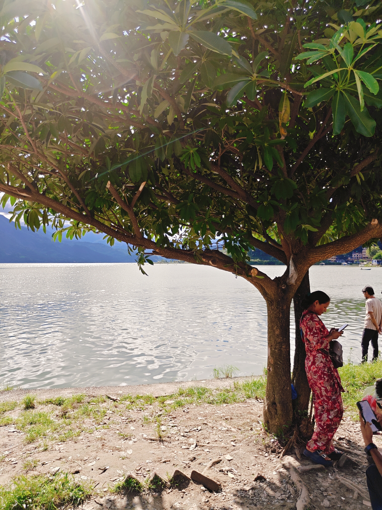 The image captures a scene by Phewa Lake in Pokhara, Nepal, under a bright, sunny sky. A large tree with spreading branches dominates the foreground, casting shadows on the ground. Sunlight streams through the leaves, creating lens flares.
A woman in a red floral print outfit stands leaning against the tree trunk, looking down at her phone. She has a backpack slung over her shoulder and wears blue sandals. To her right, another person in a striped shirt stands with their hands behind their back, also looking towards the water. In the lower right corner, a person's hands are visible, holding a smartphone, suggesting they are also taking a picture or video.
The ground is a mix of soil, pebbles, and patches of grass. The lake stretches out behind the tree, its surface shimmering with reflections from the sun. In the distance, hazy mountains are visible across the water, and a few buildings and a small boat can be seen along the far shore. The overall atmosphere is peaceful and relaxed, with people enjoying the lakeside environment.