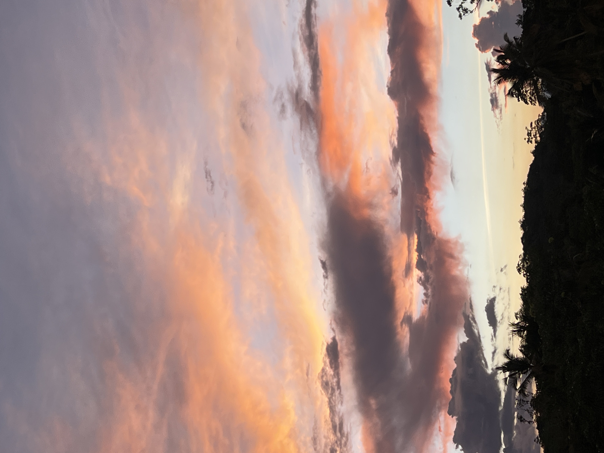 A low-angle shot captures a vibrant sunset over Heenatigala Junction, Sri Lanka. Elongated clouds streaked with orange, pink, and gray fill the sky. Dense, dark vegetation is silhouetted against the bright horizon on the right, including palm trees.