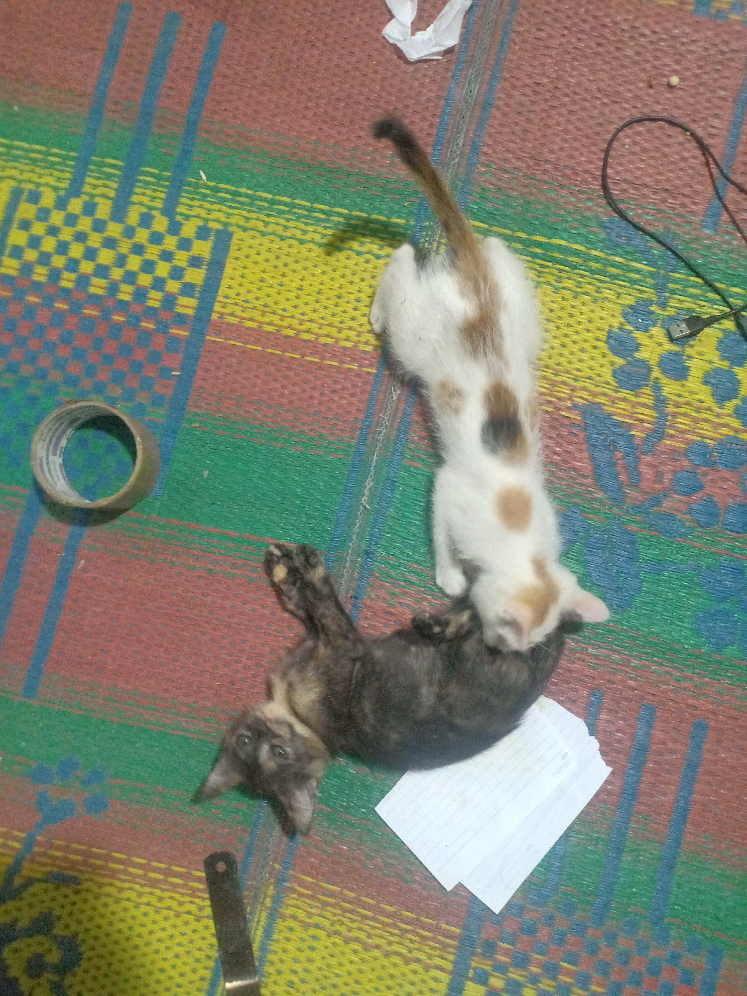 Two kittens, one dark gray and the other white with brown spots, are playfully interacting on a woven mat. The dark gray kitten is lying on its back, with its paws in the air, while the white and brown spotted kitten is on top of it, seemingly pouncing. A roll of tape, a piece of crumpled white paper, a black USB cable, and a small metal object are scattered around the kittens on the mat. The mat has a colorful pattern of red, yellow, green, and blue stripes and squares. The scene appears to be indoors, possibly in a home in Tasikhargo, Indonesia, given the context of the request.