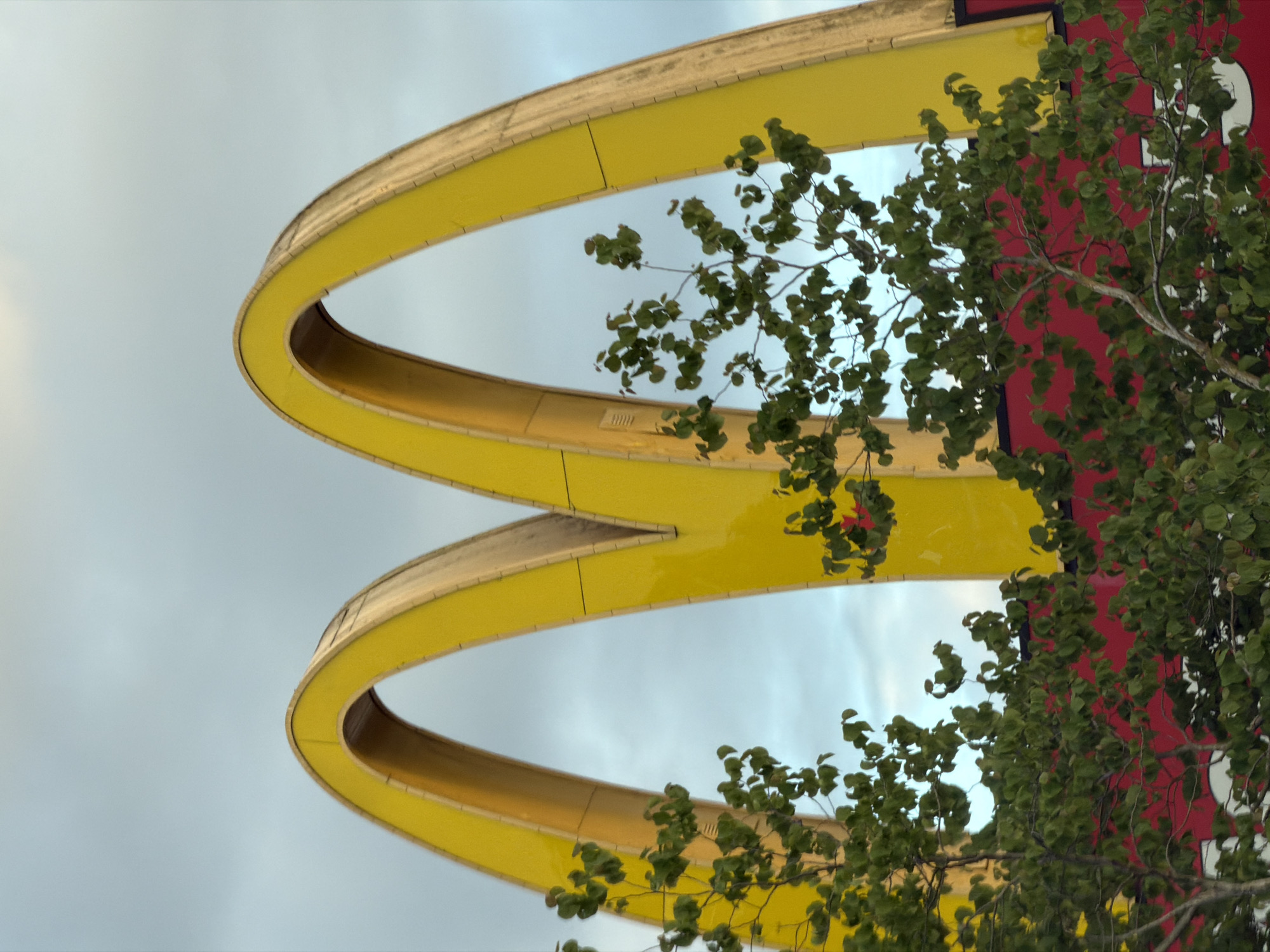 An upward-angled view showcases the iconic golden arches of a McDonald's sign. The bright yellow "M" arches sweep diagonally across the frame from the bottom left to the top right, featuring a metallic-toned trim along their edges. A tree with dense green leaves and branches partially obscures the arches and the background on the right side of the image. Behind the golden arches, a large red surface is visible, likely part of the restaurant building or an extensive sign. Through the foliage on the right, a faint white shape is discernible against the red background, possibly part of an additional graphic or logo. The sky, seen in gaps between the arches and tree branches, is a soft, overcast grey-blue, indicating daytime under cloudy conditions. The dynamic composition emphasizes the scale and curve of the arches. The scene is located in Delta, Canada.