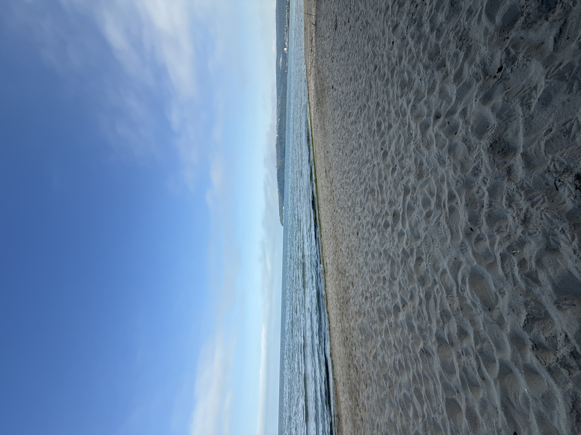 The image shows a beach scene in Varna, Bulgaria. The photograph is oriented vertically. The left side of the image depicts a clear blue sky with scattered white clouds. Moving rightward, there is a body of water, likely the Black Sea, with small waves and a greenish tinge near the shoreline, potentially indicating algae or seaweed. The right side of the image is dominated by a sandy beach. The sand is gray in color and has a rippled texture from wind or water. No people or animals are visible. In the distance, across the water, the faint outline of a cityscape is visible, suggesting the main part of Varna.