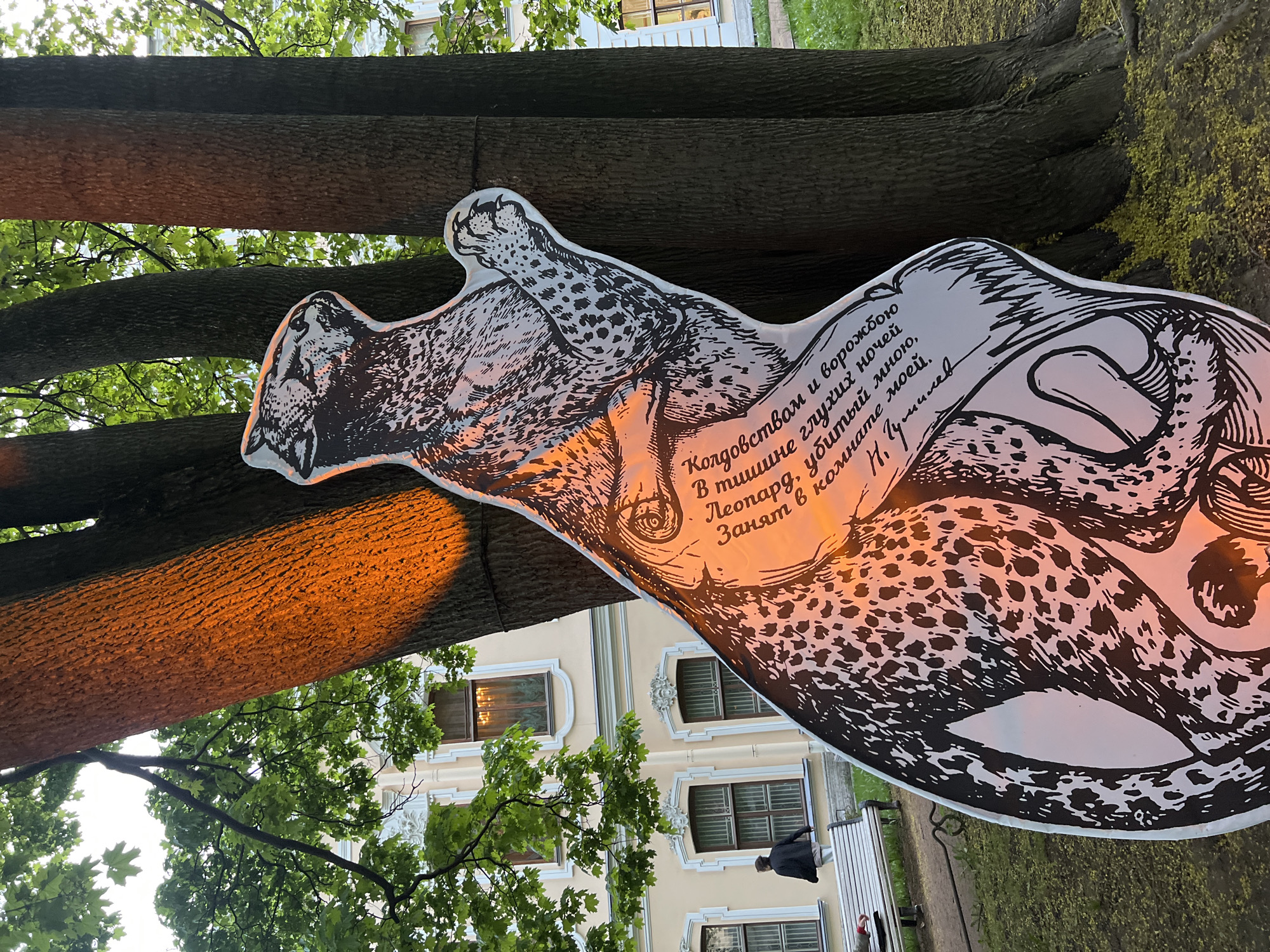 The image shows a street art installation in Saint Petersburg, Russia, specifically a cut-out shape resembling a leopard with text written on it. The text is in Russian and attributed to N. Gumilev, a Russian poet. The installation is positioned against a backdrop of trees and a light-colored building with windows. In the background, there's a person sitting on a bench. The overall setting appears to be a park or public garden area.