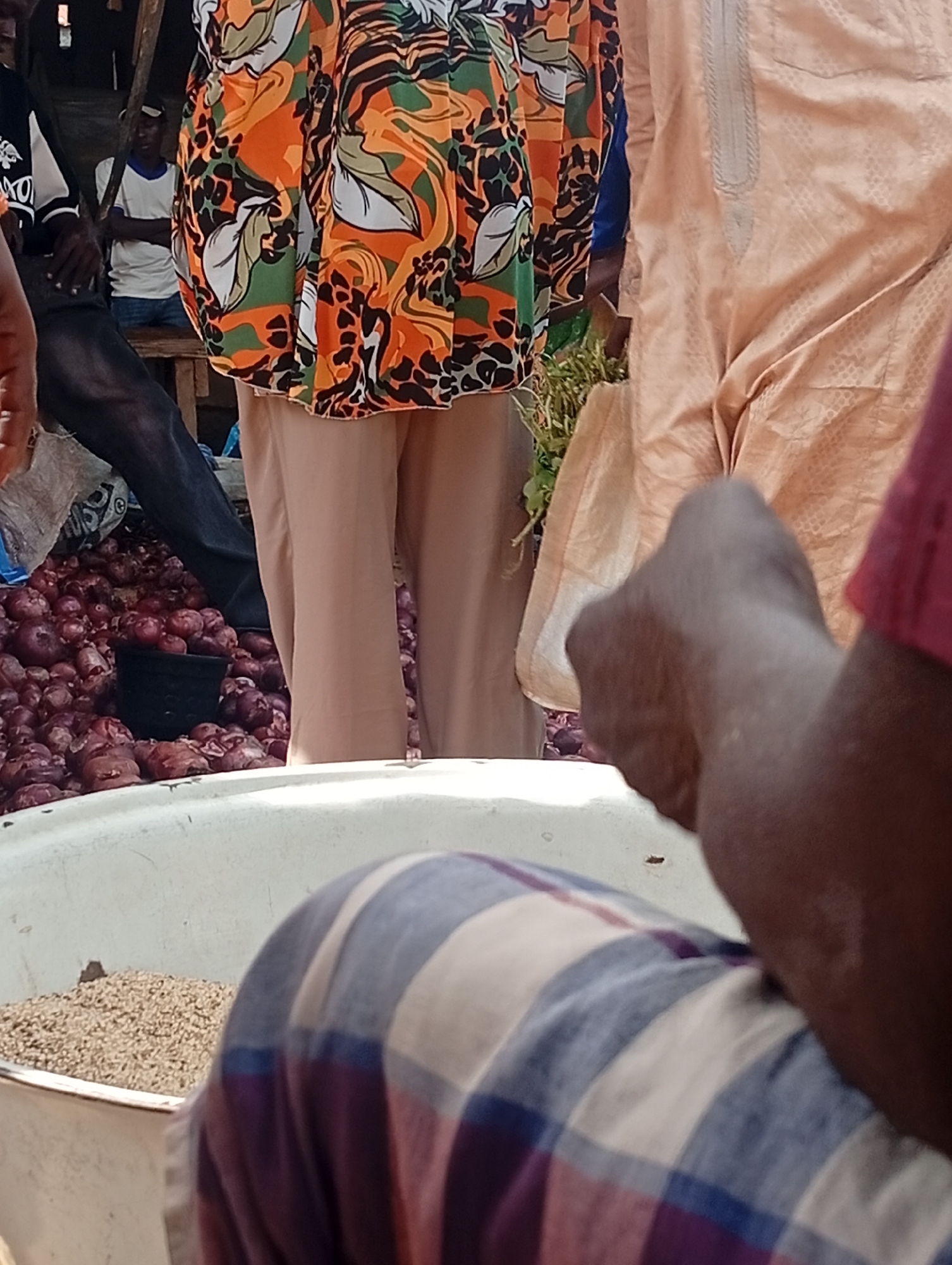 A market scene in Wamba, Nigeria, shows a pile of red onions in a black pot, surrounded by more onions and a large white basin filled with grain. A person's arm is visible in the foreground, and another person is wearing a peach-colored garment. In the background, a person in a colorful, patterned shirt and tan pants is standing near a wooden structure. Another person wearing a white shirt and blue pants is also visible.