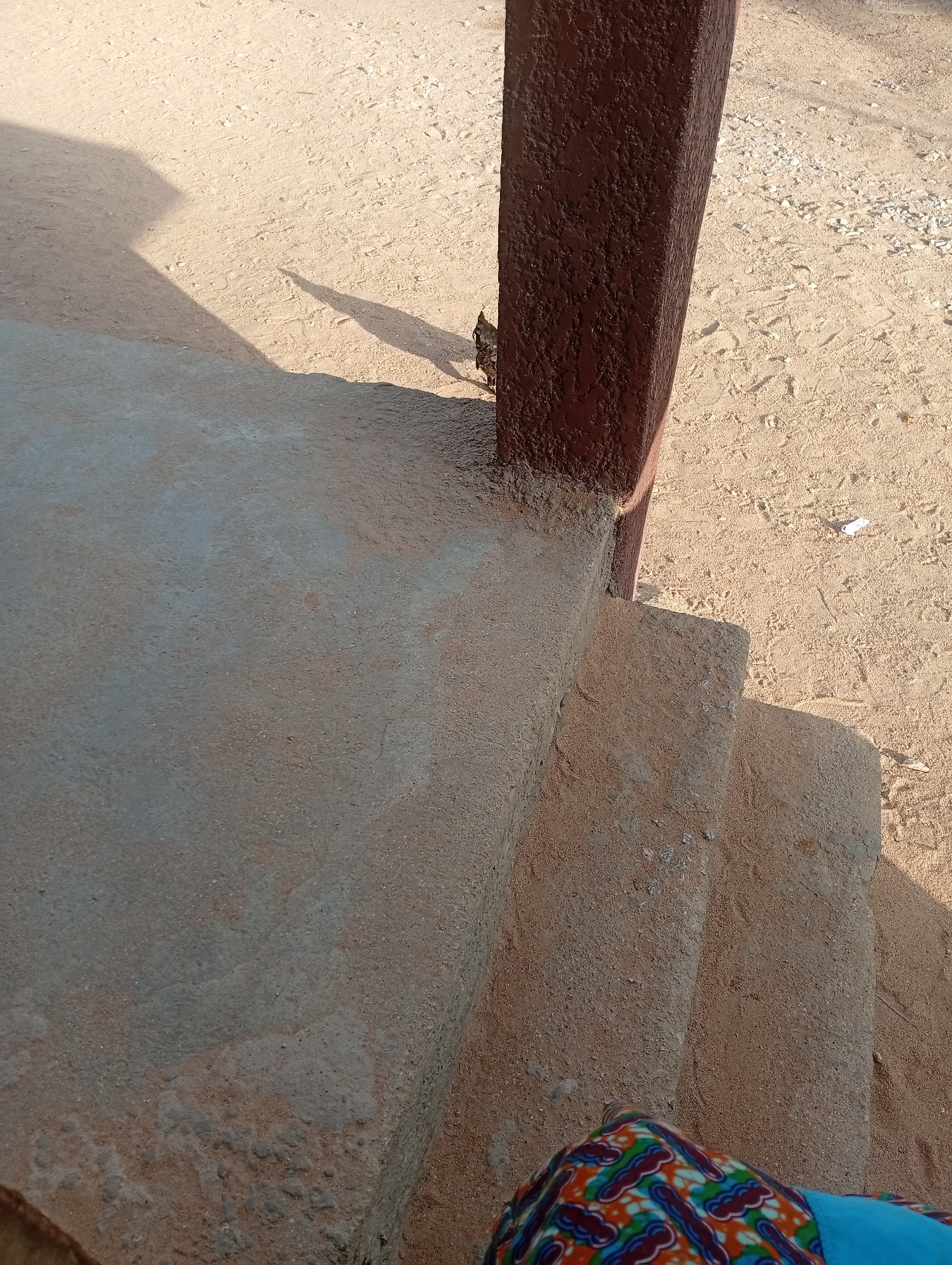 The image shows a set of concrete steps leading upwards, with a dark brown post on the right side. The steps and the ground surrounding them are made of sandy soil. The ground is mostly flat and appears to be outdoors. There is a shadow cast on the ground from the left, suggesting it is daytime. A small bird is visible on the ground near the base of the post. A piece of white paper is also on the sand in the background. The bottom right corner of the image shows a colorful patterned fabric, possibly clothing, suggesting a person is present but not fully visible. The scene appears to be in a somewhat arid or dusty environment. The lighting suggests it is either morning or late afternoon. There is no visible text in the image.