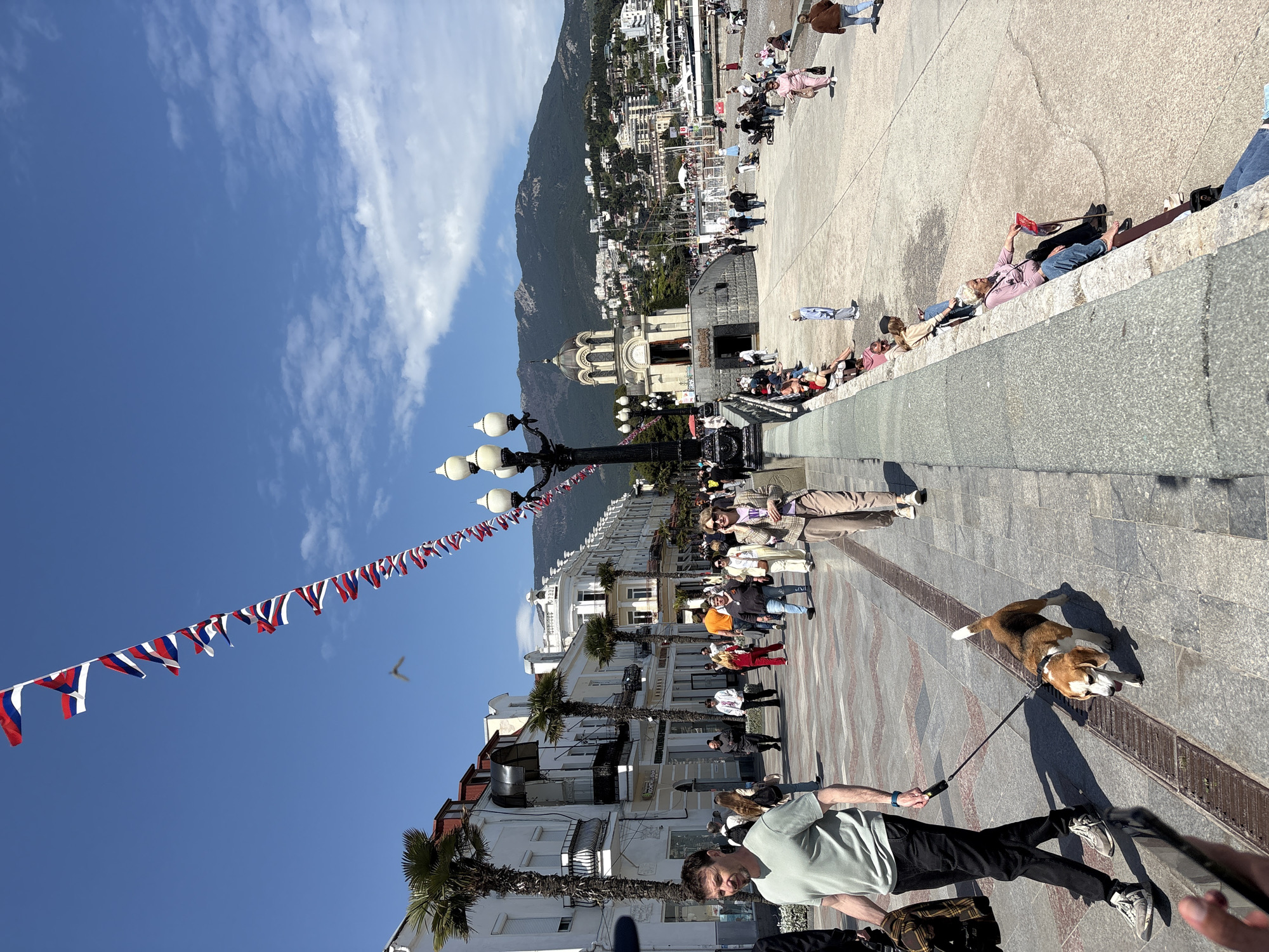 The image shows a street scene in Ялта, Ukraine on a sunny day. The camera angle is somewhat tilted. A man wearing a light green shirt and black pants is walking a dog. The dog is on a leash and has brown, white, and black fur. There are other people walking on the sidewalk in the background. Some people are sitting along a raised edge or wall. Palm trees and buildings line the street. Russian flags are hung above the street. In the background, there is a view of a church with domes and a mountain covered in buildings. The sky is blue with some clouds.