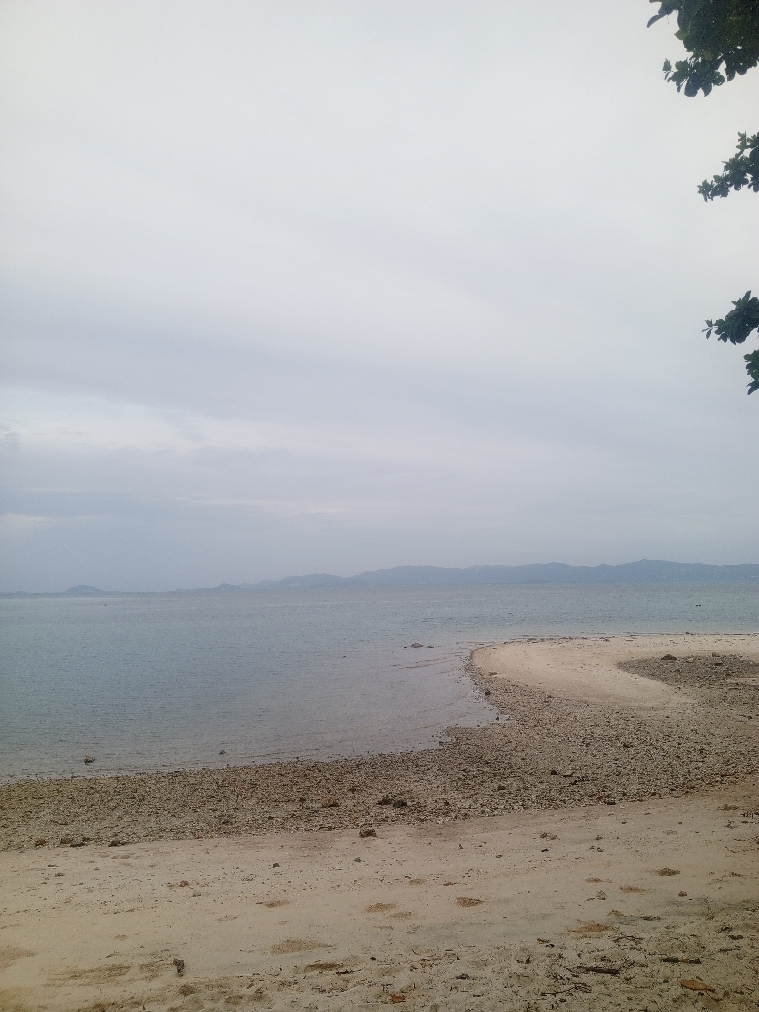 A wide shot shows a beach and the ocean on an overcast day. The foreground is a sandy beach with scattered rocks and debris. A curved strip of sand and pebbles extends into the water. The middle ground is the calm ocean, and in the background, a hazy mountain range is visible on the horizon. The sky is uniformly gray with no discernable clouds. A few dark green leaves and branches are visible in the upper right corner of the frame.