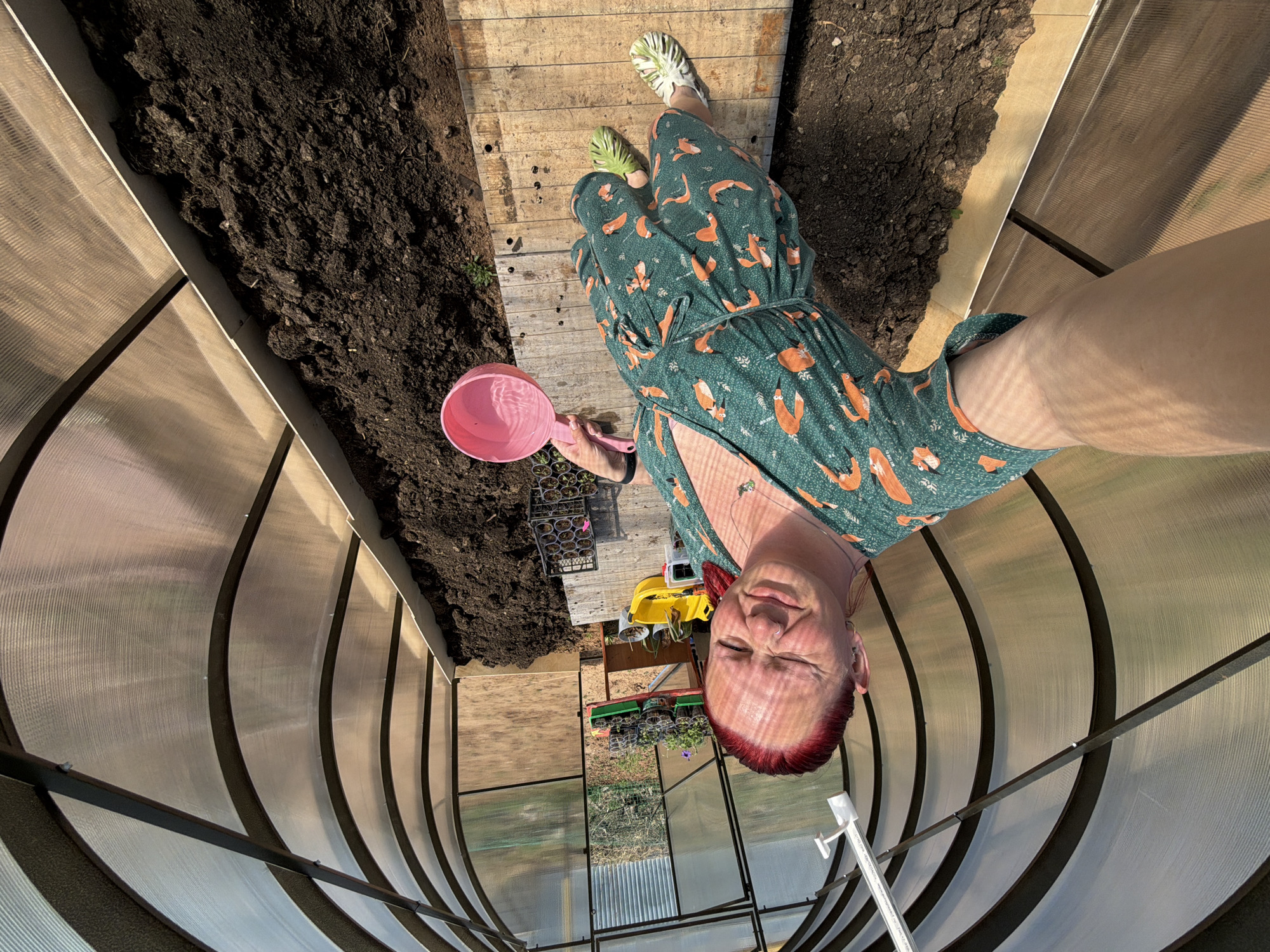 A person with dyed red hair, wearing a green dress patterned with orange foxes and green and white leaf-patterned clogs, is standing in a greenhouse. The person is holding a pink watering can and appears to be taking a selfie. The greenhouse has curved, translucent plastic walls supported by a dark-colored metal frame. Planting beds with dark soil are along both sides of the greenhouse. The floor is a wooden walkway made of boards. There are trays of seedlings near a small yellow cart. Outside the greenhouse, a grassy area is visible through the end panel. The location is most likely Chaikovsky, Russia, based on the prompt.