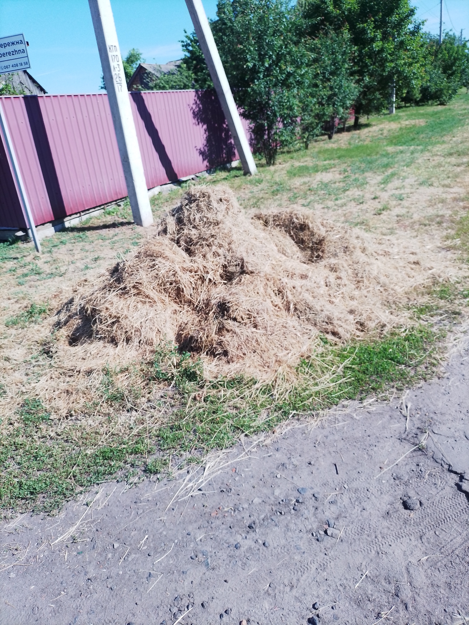 This image captures an outdoor, semi-rural scene in Ustyvytsia, Ukraine, bathed in bright daylight under a clear sky. In the foreground, a large pile of dry, light-brown grass or hay sits prominently, surrounded by scattered patches of greener grass. A dirt and gravel path or road extends across the bottom right of the frame, showing some small stones and tire-like impressions.
In the midground, a long, corrugated red metal fence spans horizontally. In front of it stand two tall, light-colored concrete utility poles, casting long shadows onto the fence and ground. The pole closer to the center bears several black markings: "КТП", "170", "А-3", "25", and "17", which are likely identification codes for the electrical infrastructure.
Behind the red fence, a dense line of green trees and bushes forms a natural backdrop. Parts of a building's roof are visible through the foliage on the left side. To the far left, a small white sign with blue text is affixed to a pole. The text clearly reads "БЕРЕЖНА" (Berezhna), with a second, less distinct line below it that appears to be "БЕРЕЖНІ А" (Berezhni A), possibly indicating a street name like "Набережна" (Waterfront/Embankment) or a related address. Below that, a phone number is visible: "тел. 067 408 18 58".
The scene appears peaceful and quiet, with no people or explicit activity, though the pile of hay suggests recent landscaping or agricultural work. The strong shadows confirm the sunny, daytime conditions.