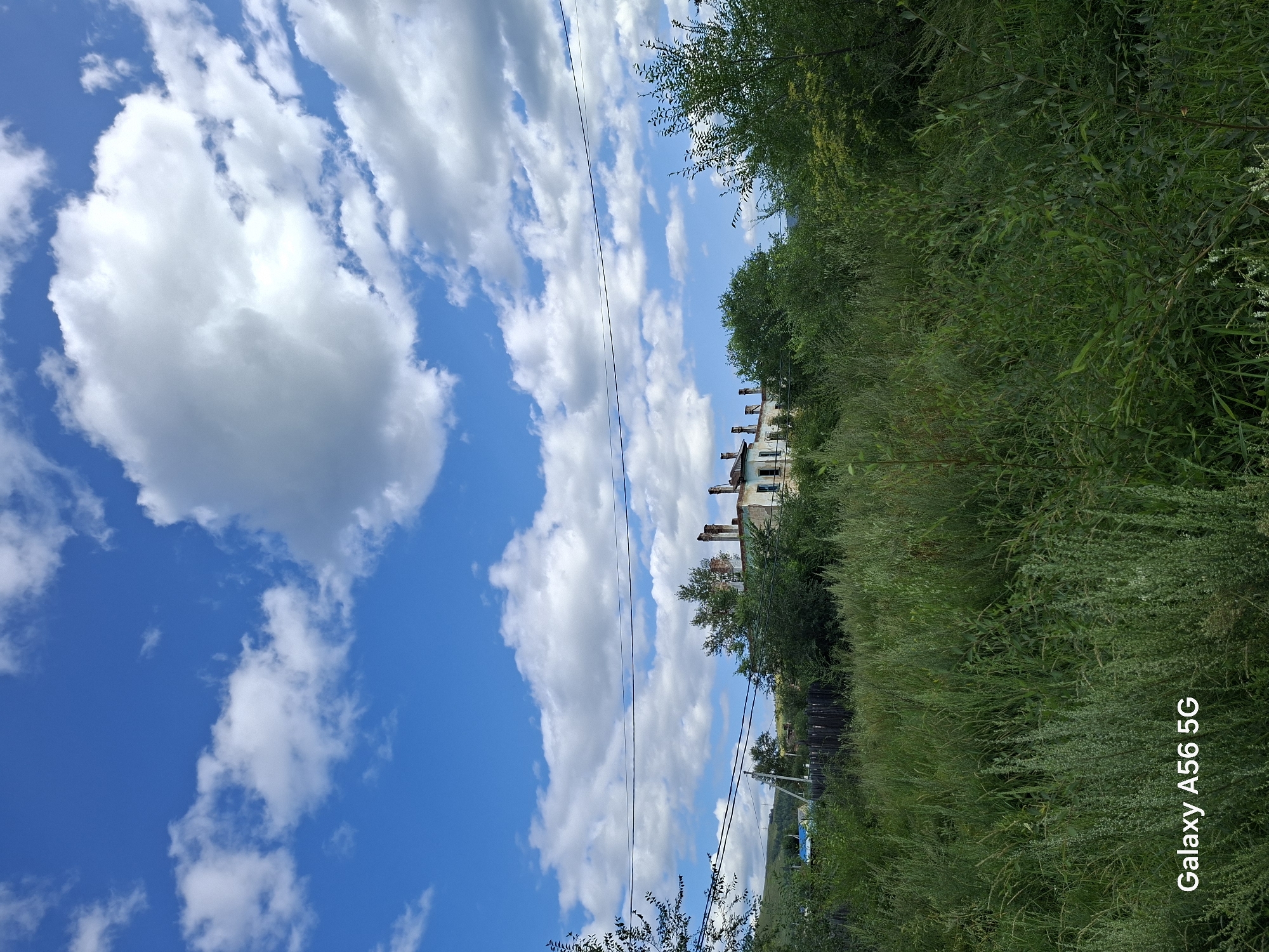The image depicts an overgrown, rural landscape under a bright blue sky with scattered white clouds. In the mid-ground, a dilapidated building with multiple chimneys stands partially obscured by lush green foliage. A wooden fence runs along the property line, and power lines are visible strung across the scene. The foreground is dominated by tall, wild grasses and various types of vegetation. The bottom left corner of the image displays a watermark reading "Galaxy A56 5G." The scene suggests an abandoned or neglected property in a remote or semi-rural setting.