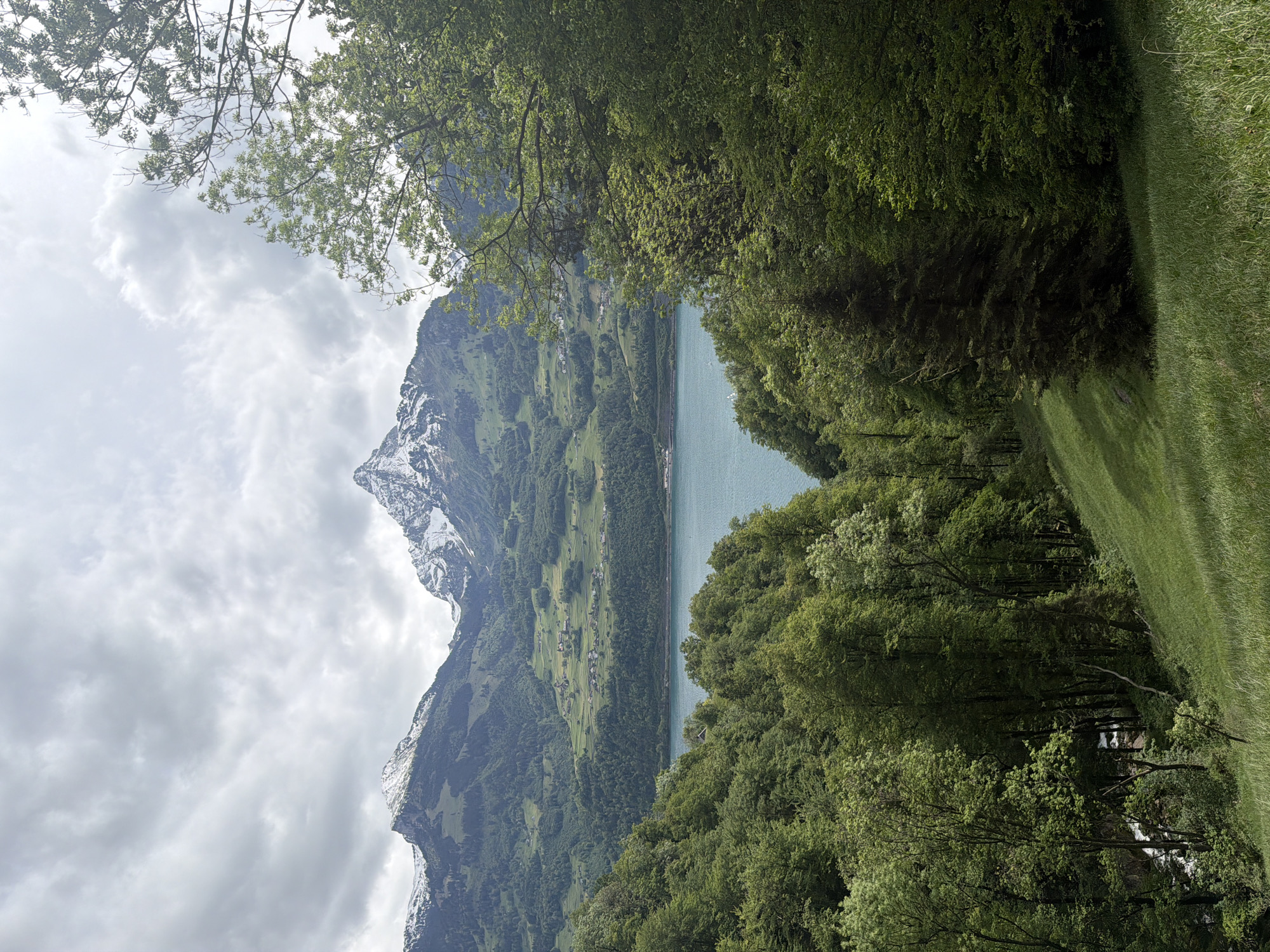 The image depicts a landscape in Betlis, Switzerland, featuring a lake surrounded by mountains and lush vegetation. The mountain on the left has a snow-capped peak. The lake's water appears turquoise. A green meadow is present on the right, lined with trees. The sky is overcast with grey clouds.
