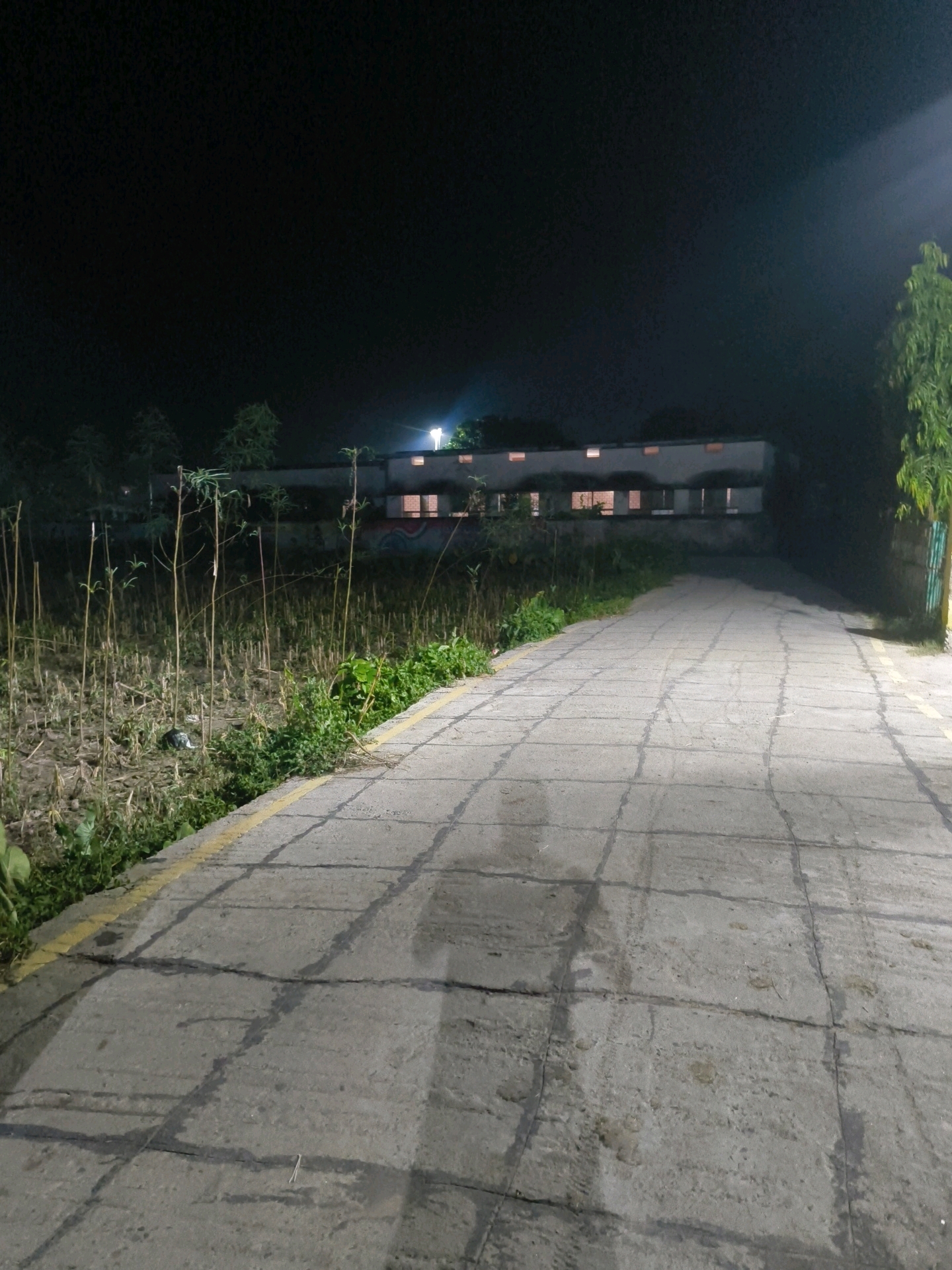 The image depicts a dimly lit outdoor scene at night, likely in Itahri, India. A concrete pathway, marked with a yellow line on the left edge, leads into the foreground. The pathway is textured with visible seams creating a grid-like pattern, and appears somewhat damp, reflecting light. To the left of the pathway is a field with dry, sparse vegetation and some green plants growing along the edge. In the background, a long, white building with a dark roof is visible. Several rectangular windows on the building are illuminated with a warm light, suggesting interior lighting. Above the building, a bright light source casts a beam upwards into the dark sky. A single, tall green tree stands on the right side of the image, its leaves illuminated by an unseen light source. The overall atmosphere is quiet and still, indicative of nighttime in a less urbanized area.