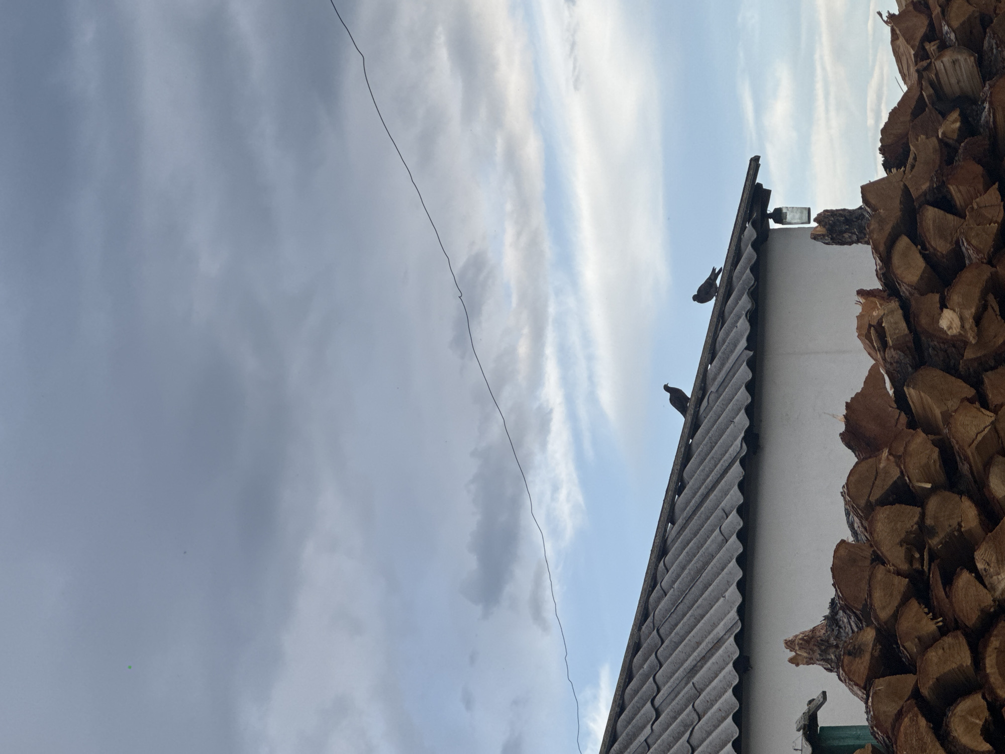 The image, taken in Нижний Бургалтай, Russia, shows a partial view of a building with a grey corrugated roof. Two birds are perched on the roof. Adjacent to the building, a large stack of split firewood is visible. A thin wire runs across the sky in the background, which is cloudy with patches of blue sky. The image has been rotated, as the sky appears sideways.