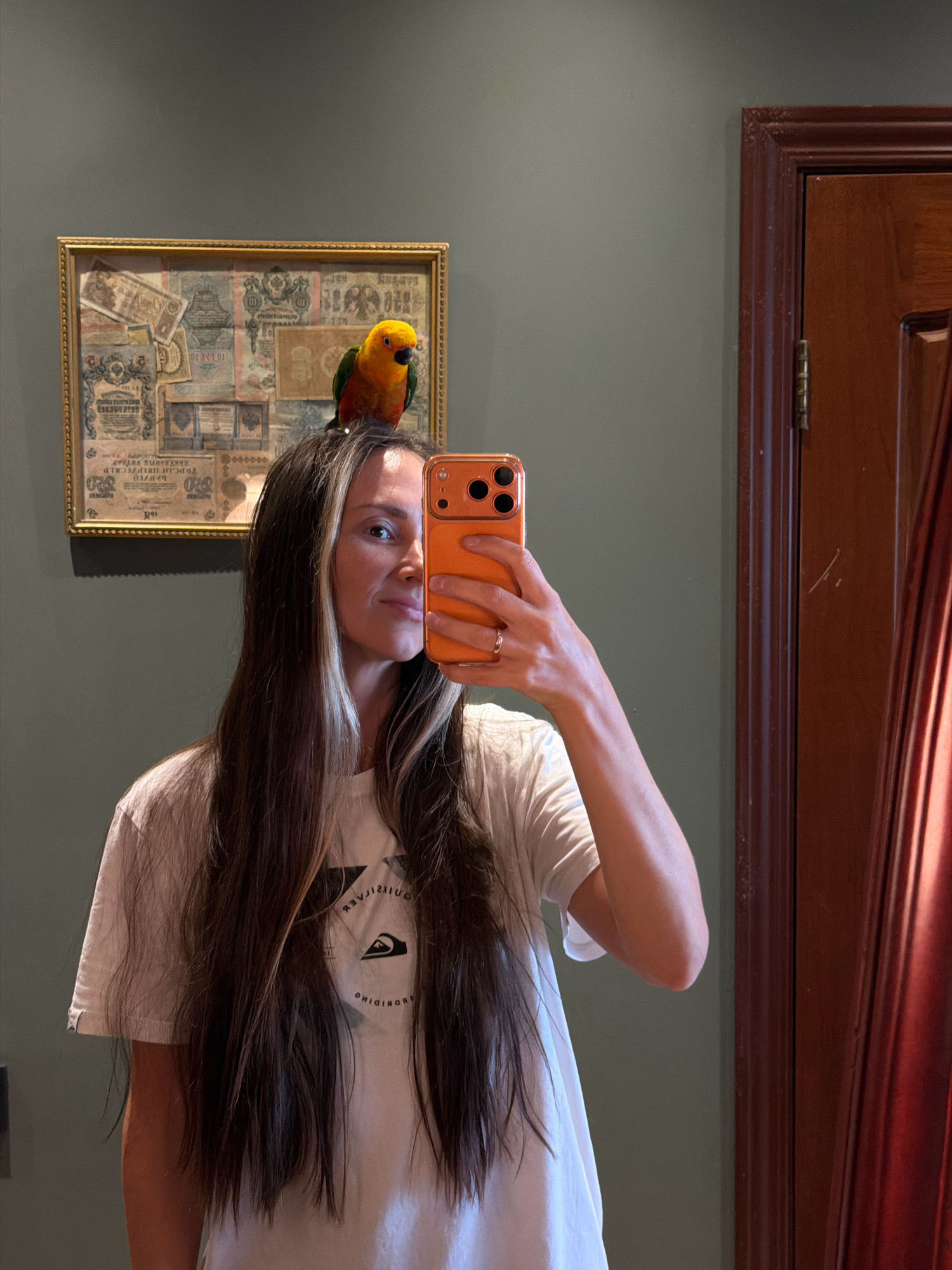 A woman with long, dark brown hair, featuring blonde highlights, stands in front of a dark green wall. She is wearing a white t-shirt with a black graphic logo. The woman is holding an orange smartphone in her right hand, taking a mirror selfie. A small, vibrantly colored parrot, with yellow, orange, green, and blue feathers, is perched on top of her head. Behind her, a framed piece of art, possibly a collage of old currency or documents with a gold frame, is hanging on the wall. To the right of the woman, a dark brown wooden door with ornate carvings is visible, along with a draped red curtain. The image appears to be taken indoors. There is no indication of the city of Khimki, Russia.