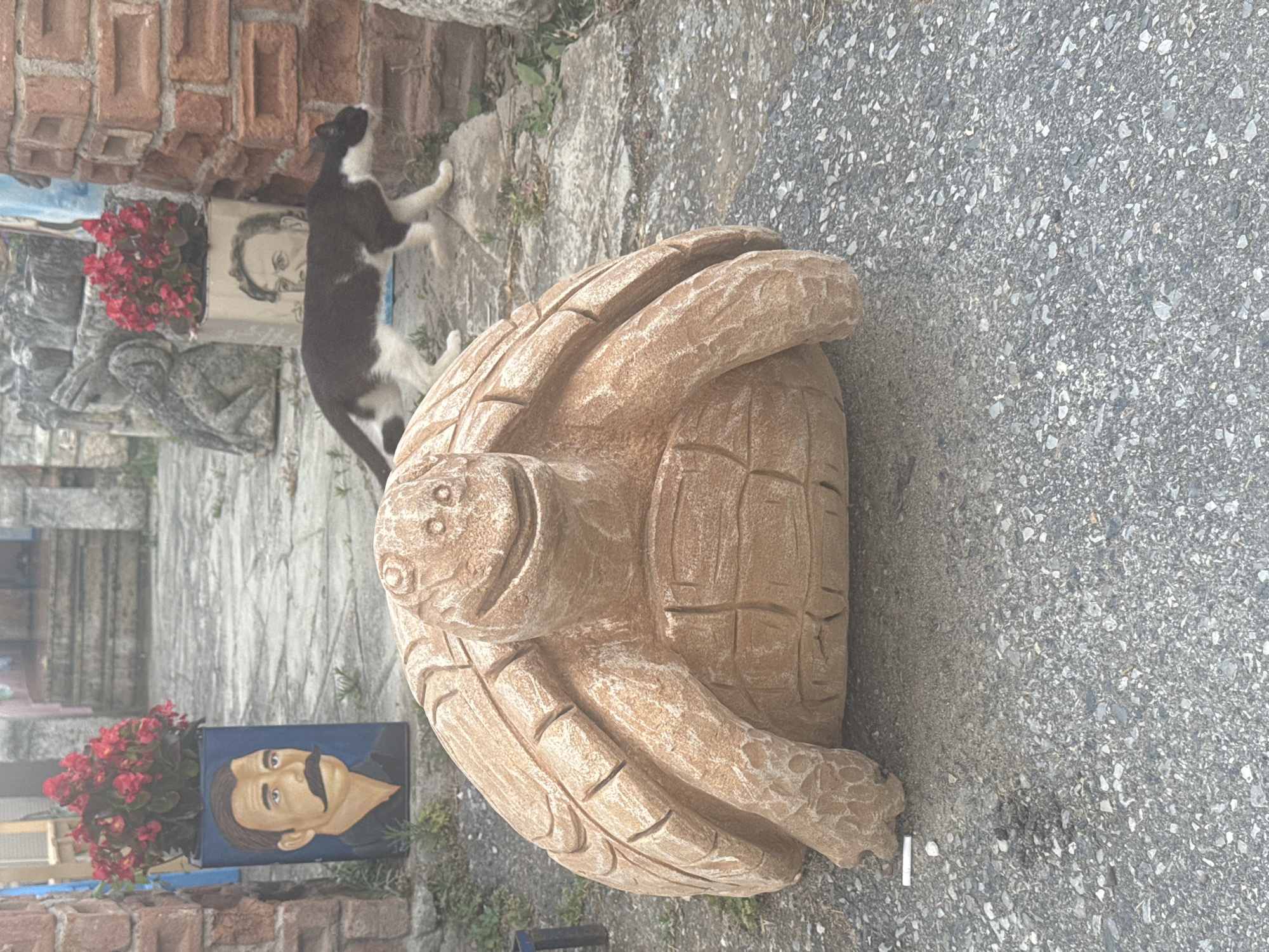A stone turtle statue is situated on a pebbled ground in front of a brick structure. To the left of the turtle, a planter with red flowers sits atop a blue rectangular container displaying a painting of a man with a mustache. In the background, a black and white cat is walking on a stone pathway. Further back, two planters with red flowers are visible next to stone sculptures. The environment suggests an outdoor space, possibly a garden or a courtyard. The specific location in the city of Kassandra Municipal Unit, Greece, is not discernible from the image alone.