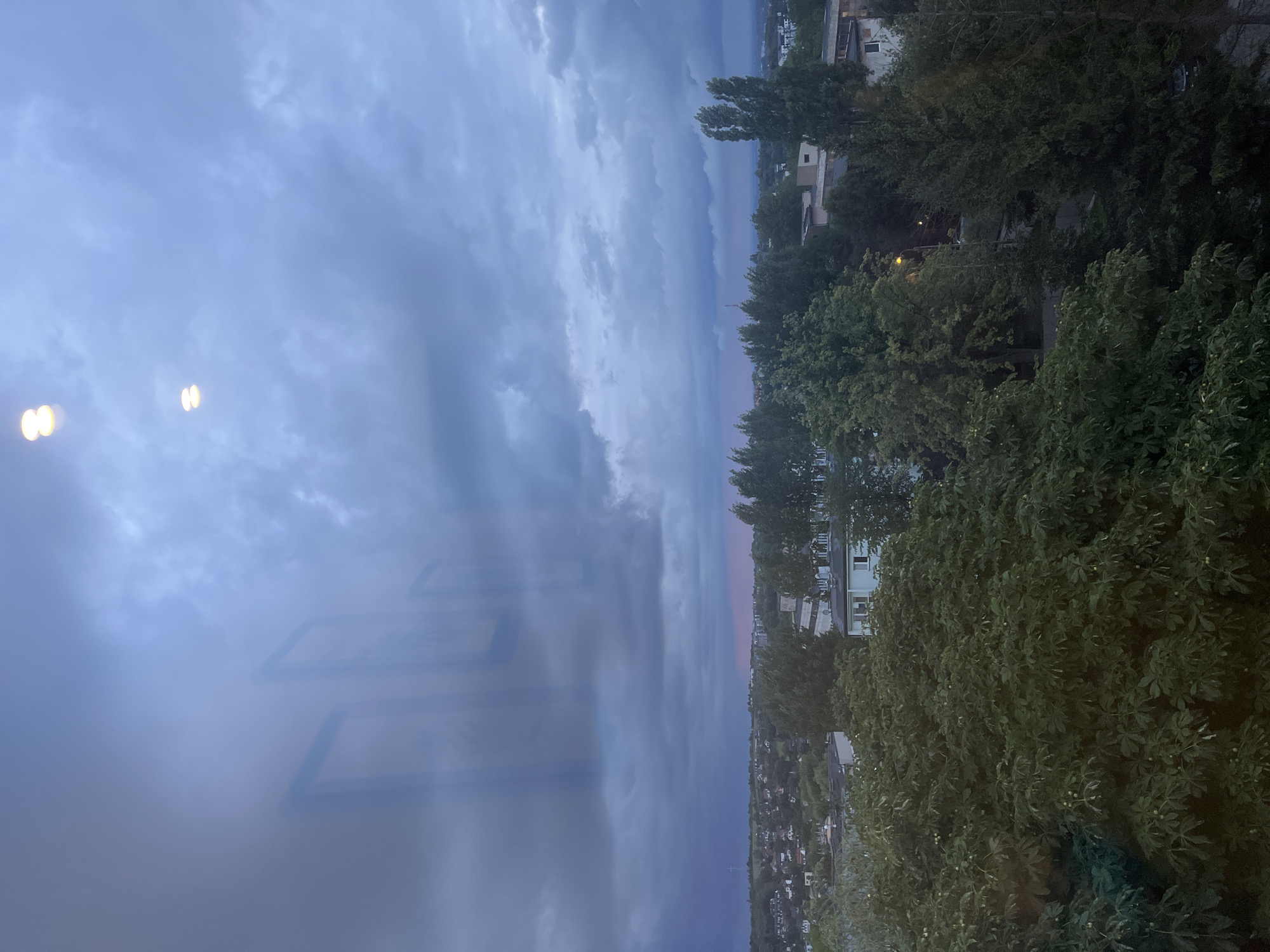 This image captures an overcast sky with a dense cloud cover, reflecting faint light and appearing somewhat purple and gray. Below the sky, a cityscape unfolds, characterized by numerous trees and residential buildings. The foreground is dominated by the lush green foliage of several large trees, obscuring some of the lower structures. In the middle ground, houses and apartment buildings are visible amidst more trees, with some appearing to be two or three stories high. In the background, the city stretches out towards the horizon, with a few taller buildings and a more distant landscape. Reflections of interior lights or objects are present on what appears to be a window, casting blurred shapes onto the sky and cloud reflections. The overall atmosphere is subdued, suggesting either dawn, dusk, or a heavily clouded day.