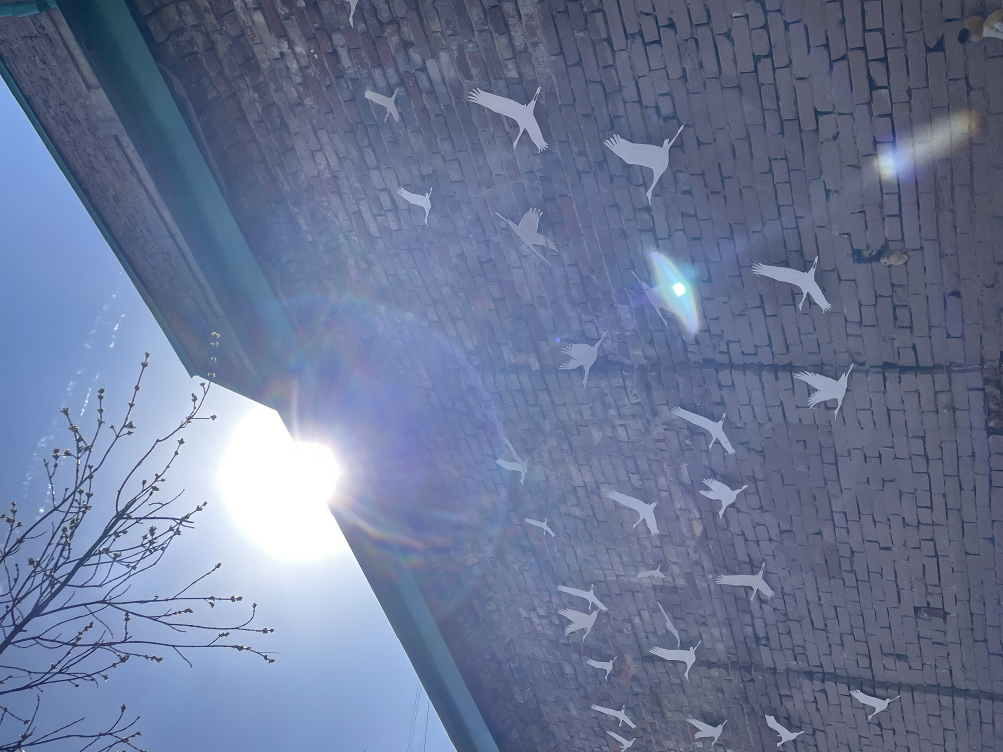 The image shows a low-angle view beneath a brick archway or bridge. Attached to the brick surface are numerous white silhouettes of birds in flight, seemingly suspended in mid-air. A steel beam runs along the edge of the structure. The sun is visible through the archway, creating a bright glare. A tree branch with small buds is in the lower left of the image. The scene is likely located in Yekaterinburg, Russia, as the art installation of crane silhouettes is a known feature of the city.