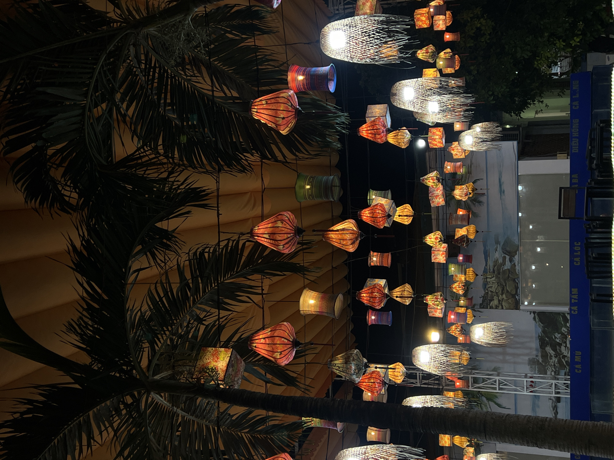 The image shows a nighttime scene in Nha Trang Ward, Vietnam, featuring an array of illuminated lanterns strung between palm trees. The lanterns vary in shape, color, and material, some being traditional fabric lanterns with intricate patterns and others woven from natural fibers. Palm trees frame the scene, adding to the tropical ambiance. In the background, there is a blue sign with Vietnamese text and possibly a mural or display of some kind. The overall lighting is dim but enhanced by the glow of the lanterns, creating a festive atmosphere.