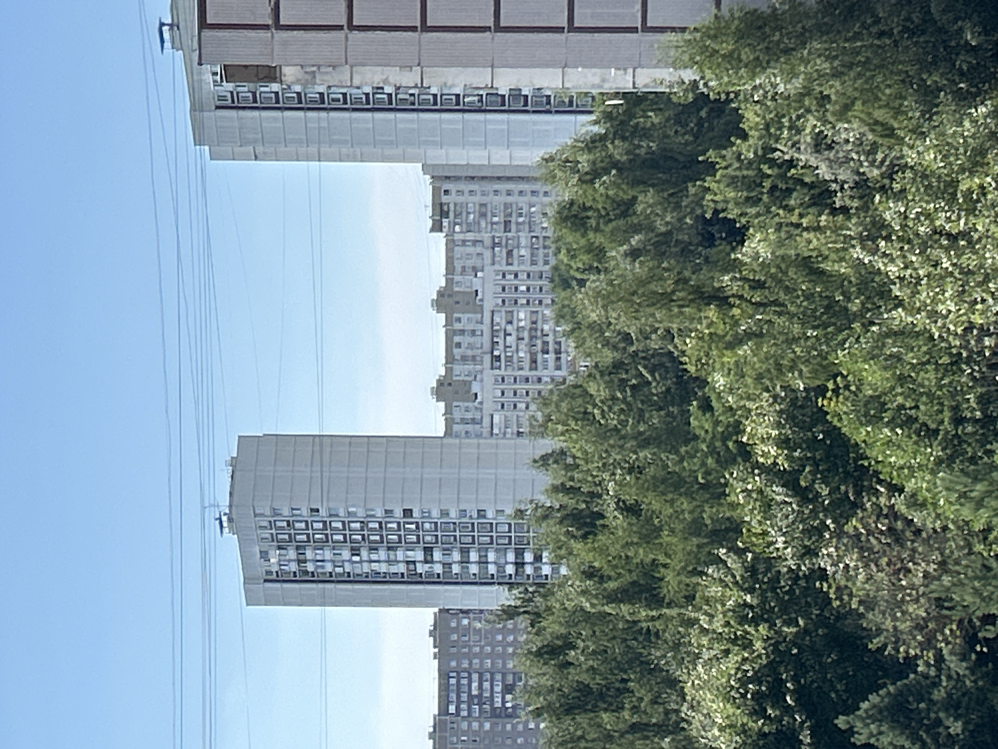 The image is a medium-distance shot of a cityscape under a clear blue sky with thin, horizontal power lines visible in the foreground. In the middle ground, several multi-story apartment buildings are visible. On the left, a tall, slender apartment building with a light-colored facade and numerous windows dominates the frame. To its right, a much longer, lower apartment building stretches across the frame, also with many windows. Further to the right, another tall apartment building with a light-colored facade and visible window sections is partially obscured by trees. In the background, behind the middle ground buildings, a complex of even lower apartment buildings is visible, appearing to be part of a residential development. The foreground and lower half of the image are filled with a dense canopy of green trees, suggesting a park or a residential area with significant greenery. The scene depicts an urban residential environment, likely a district within Zelenograd, Russia, characterized by Soviet-era architecture and abundant trees. No people or specific actions are identifiable.