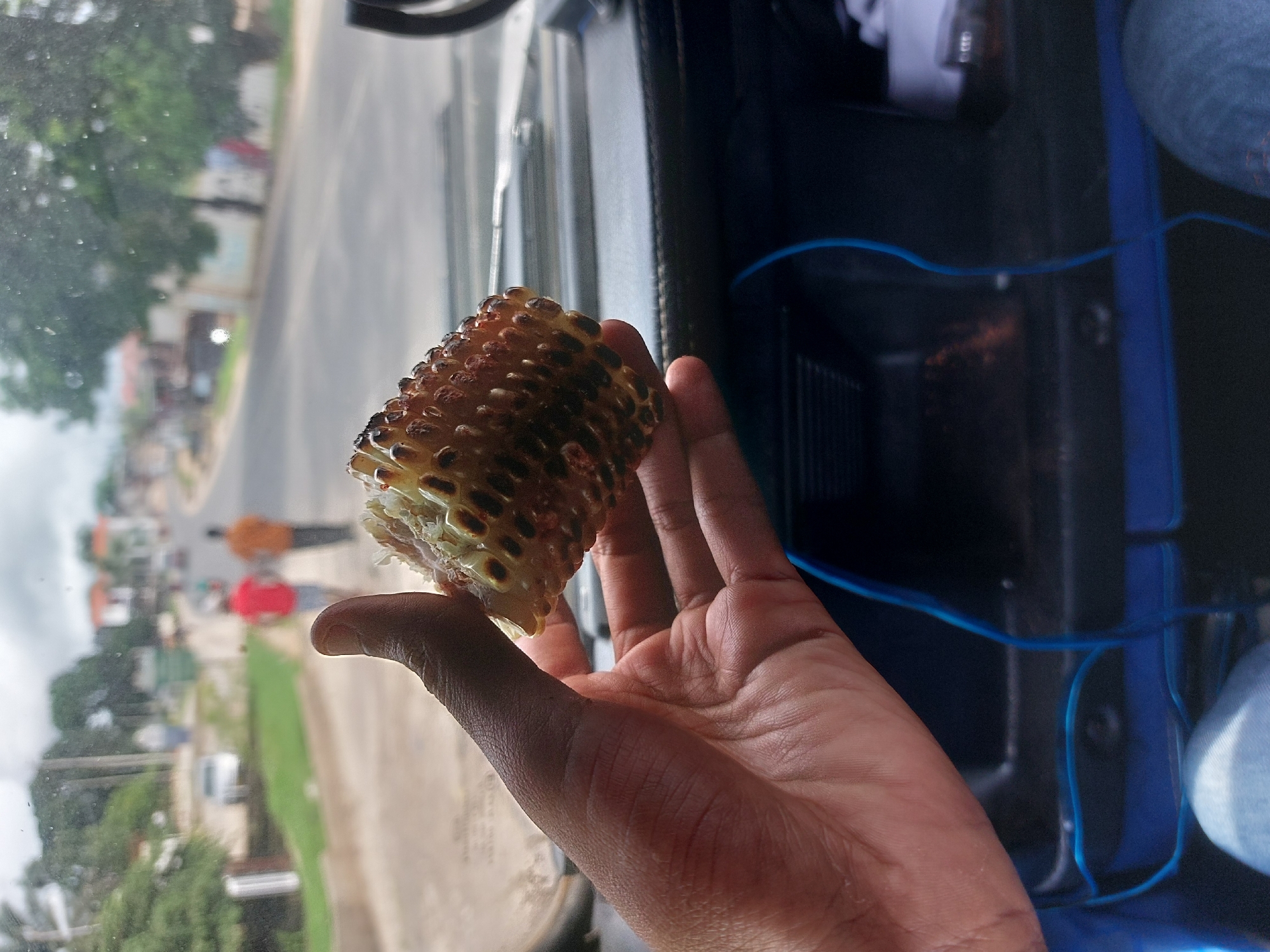 A close-up shot shows a person holding a partly eaten grilled corn on the cob inside a vehicle. The corn has some charred kernels, indicating grilling. The person's hand is visible, holding the corn. Through the car window, a blurred street scene is visible. The street appears to be in a residential area of Dar es-Salaam, Tanzania, based on the buildings and vegetation. People are walking on the sidewalk. The vehicle's interior is visible with some components like a dashboard and seat.