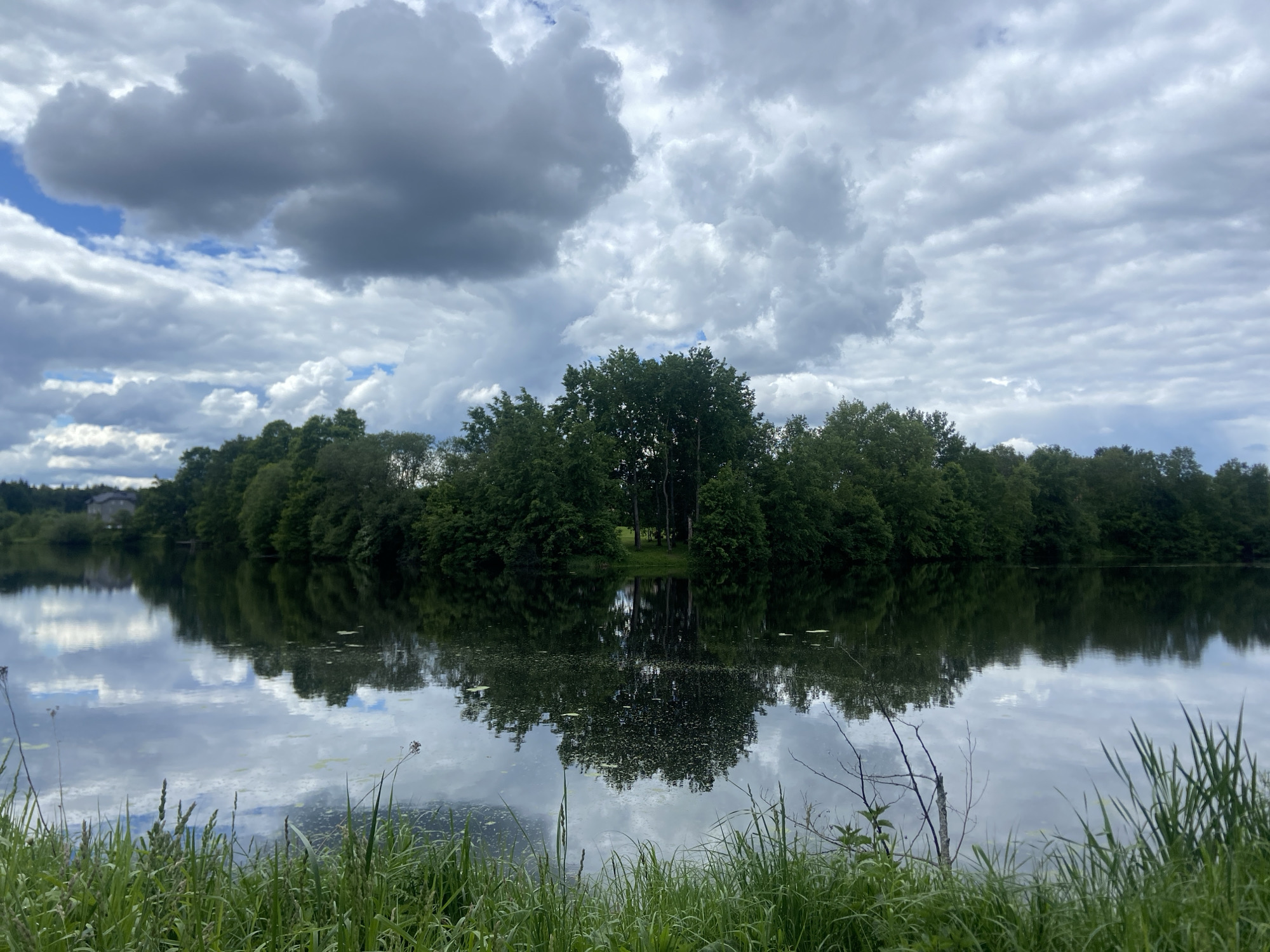 The image depicts a calm lake or pond reflecting a cloudy sky and a line of trees in Bogoslovo, Russia. The foreground features green grass. The water's surface mirrors the shapes and textures of the sky and trees. The trees line the opposite shore, forming a dense green barrier. The sky is overcast with varied cloud formations, ranging from light and wispy to dark and heavy.