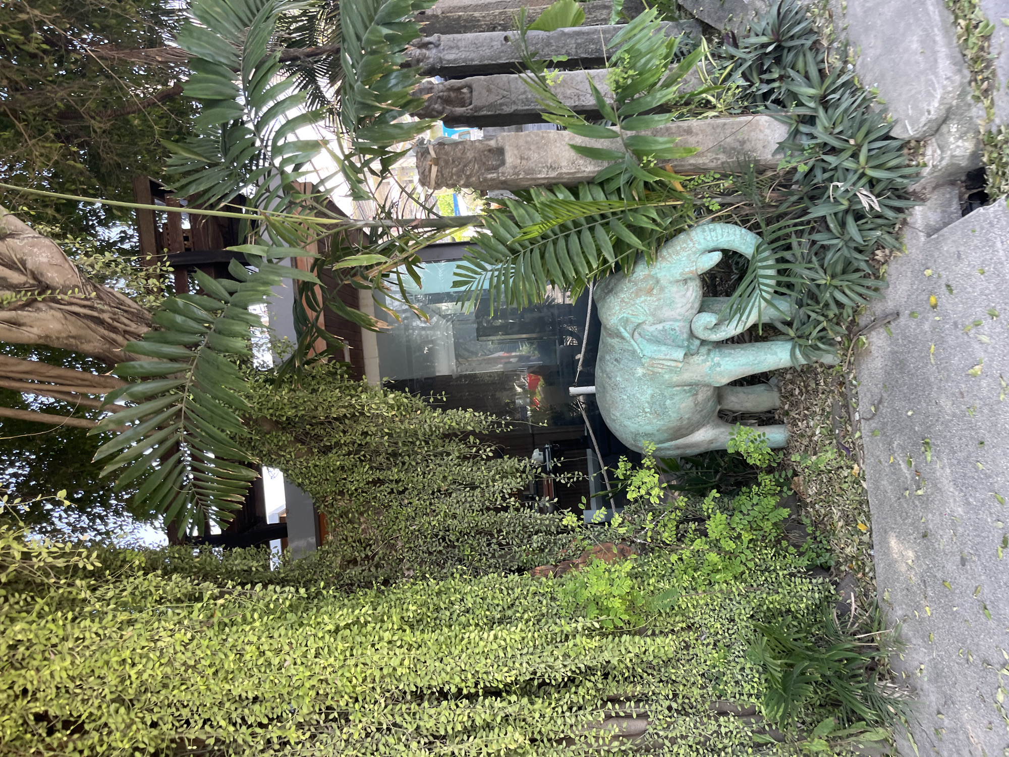 This is a medium shot of an outdoor scene in Choeng Thale, Thailand, featuring a turquoise elephant statue partially obscured by lush green foliage and tropical plants. The elephant statue is positioned in the center-left of the frame, with its trunk curled downwards towards the ground, appearing to be interacting with the surrounding plants. To the left of the statue, a dense cascade of small-leafed green vines hangs from above, creating a curtain-like effect. Behind the elephant, a large tree with visible roots and branches extends upwards, with more palm-like fronds and hanging vines integrated into the structure. In the background, a modern building with glass windows and a wooden balcony is visible, suggesting an establishment like a cafe or restaurant. To the right of the elephant, several tall, weathered stone pillars or statues stand upright, adding an element of ancient or rustic decor. The ground in the foreground is a paved pathway covered in fallen leaves and debris, with a concrete drainage channel visible on the right. The overall environment is one of natural abundance intertwined with human-made structures and decorative elements, creating a serene and tropical ambiance. No people are present in the scene.