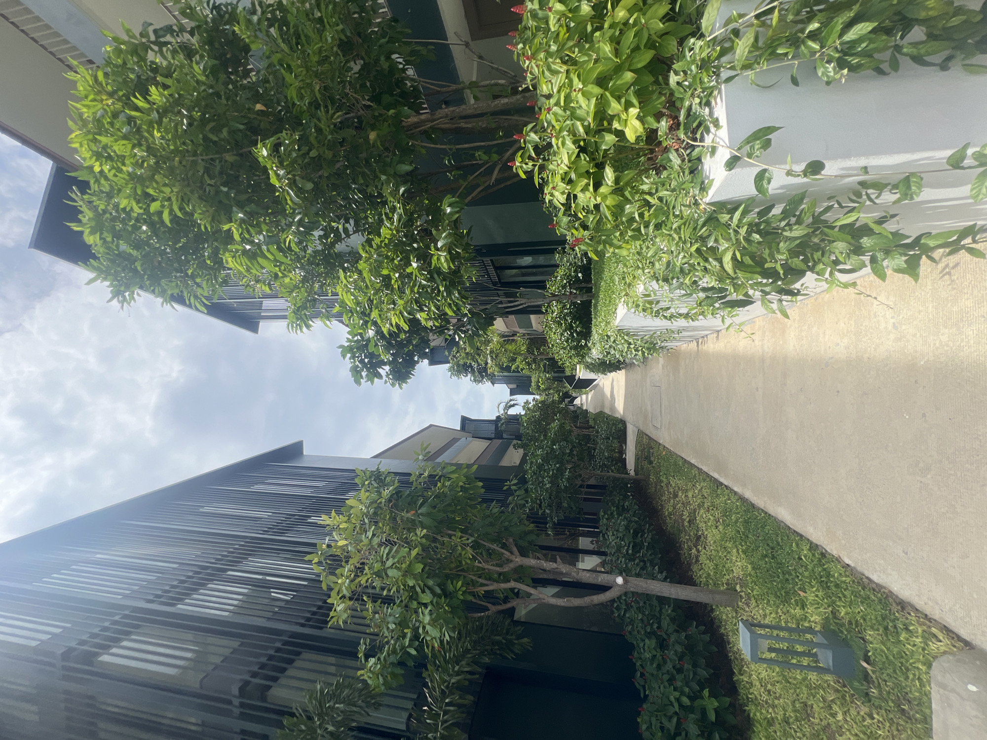 An outdoor walkway is bordered by modern buildings and lush greenery in Ko Samui District, Thailand. The walkway is paved with concrete and has a slight upward slope. On the left, a dark building with vertical louvers rises up, with trees and bushes in front of it. On the right, a white planter box overflows with vibrant green foliage and some red flowers. The overall impression is one of contemporary architecture integrated with tropical landscaping.
