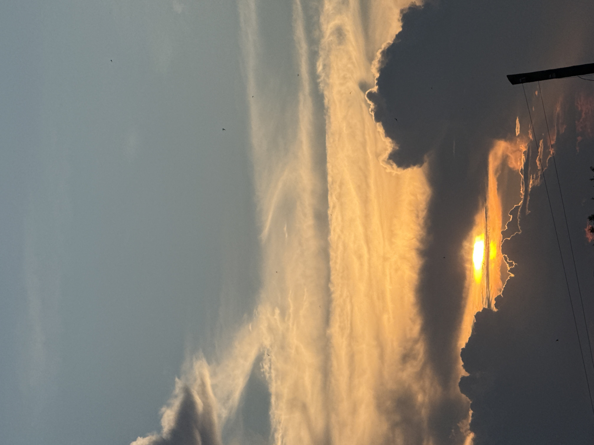 This is a vertical, medium shot of a sunset over Chaikovsky, Russia. The sun is partially obscured by dark, voluminous clouds, creating a dramatic halo effect. Wisps of lighter, orange-tinged clouds stretch across the sky, catching the last rays of the sun. The sky transitions from a soft blue at the top to hues of orange and yellow closer to the horizon. Several small, dark shapes that appear to be birds are visible scattered throughout the sky. In the foreground, the silhouette of a wooden pole and some power lines are visible, along with the tops of trees at the bottom edge of the frame. The overall impression is one of a dynamic and somewhat moody sky during twilight.