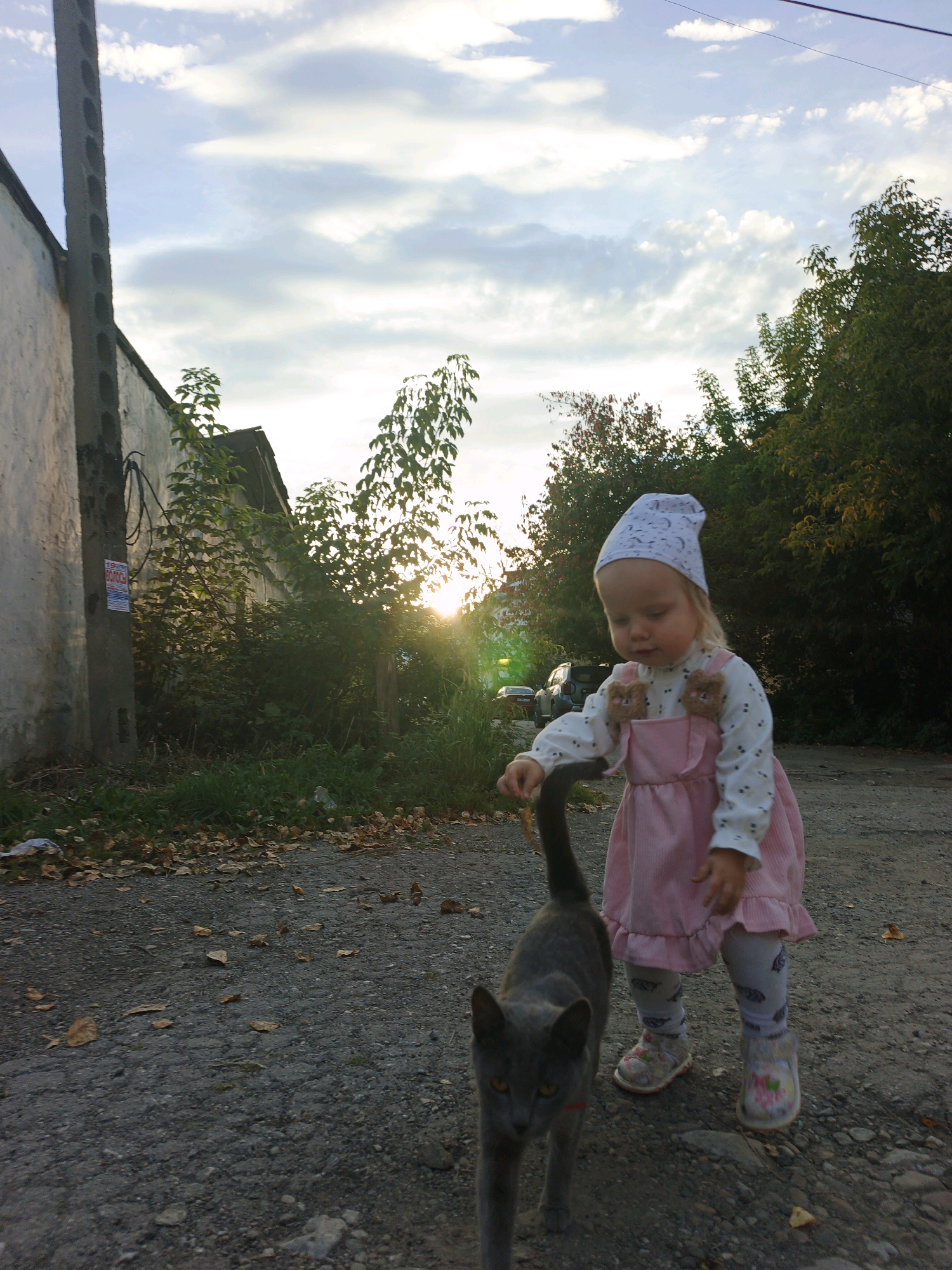 A young child wearing a white headscarf, a white long-sleeved shirt with teddy bear appliqués, a pink corduroy pinafore dress, patterned leggings, and floral shoes, stands on a gravel path. The child is reaching towards a grey cat with green eyes and a red collar. The cat is walking away from the child, its tail raised. The background features a weathered, light-colored building with a concrete pole on the left, overgrown vegetation with trees and bushes, and a bright sun setting through the leaves. The ground is covered in gravel and scattered brown leaves. A few cars are visible in the distance. The scene suggests an outdoor setting in a slightly overgrown, urban area.