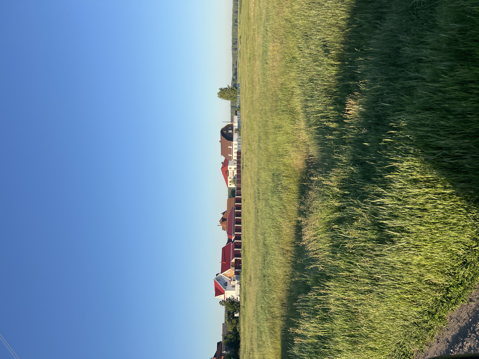 The image depicts a rural landscape under a clear blue sky. In the middle ground, a row of houses with red and brown roofs are visible, separated by fences. The houses appear to be modern suburban or rural residences. In the foreground, a field of tall, green grass stretches across the scene, with some of the grass appearing dry and sunlit. The overall environment suggests a tranquil, undeveloped area. The location is identified as Novopichugovo, Russia.
