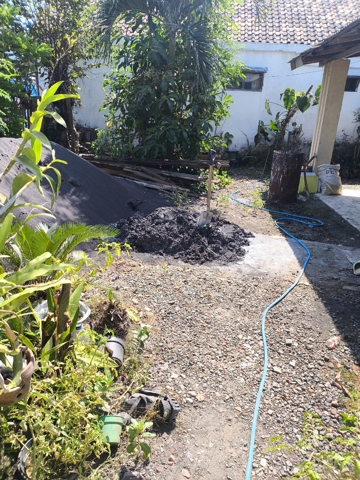 The image depicts an outdoor scene in Lumajang, Indonesia, likely a residential backyard or construction area. In the foreground, lush green vegetation spills from planters and grows wild on the gravelly ground. A pile of dark, wet material, possibly cement mix, sits in the center, with a shovel embedded in it. To the left, a large mound of black sand is visible, along with some wooden planks. A bright blue hose snakes across the ground, suggesting recent or ongoing work. In the background, a white-washed building with a terracotta-tiled roof is partially visible, shaded by several trees. A large, dark metal barrel and a white sack labeled "PET" are also present. The overall impression is one of a work-in-progress in a tropical climate.