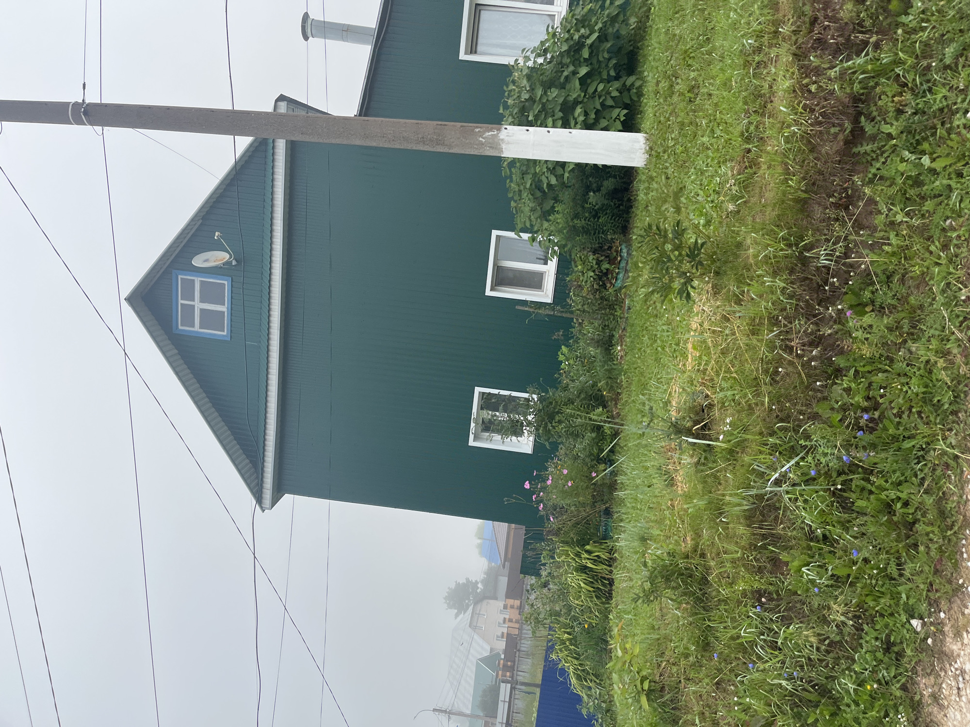 The image depicts a residential building with dark green siding, located in a rural or suburban area. The building has a pitched roof and several windows, including a distinctive blue-framed window in the gable end. A satellite dish is mounted on the gable. In the foreground, there is lush green grass and various plants, including some with pink flowers. A concrete utility pole with white paint near its base stands to the right of the building. In the background, other houses and trees are visible, shrouded in a light mist or fog. The overall impression is a cloudy or overcast day in a residential neighborhood. There are no people visible in the image.