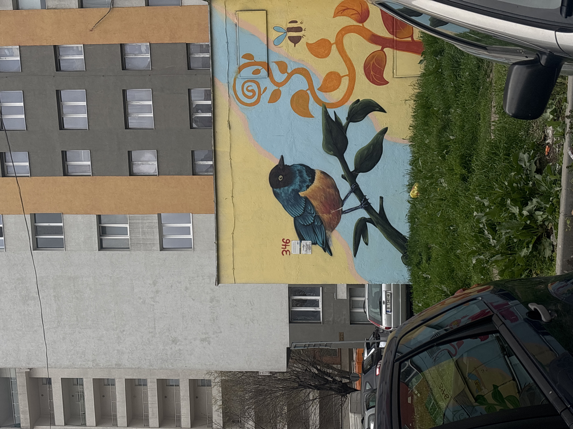 The image displays an urban scene featuring a vibrant mural on the side of a building. The mural depicts a colorful bird with blue and brown plumage perched on a green leafy branch, alongside a small bee flying near an orange swirling vine with leaves, all set against a yellow and light blue background. The number "346" is painted vertically in red on the mural beneath the bird.
Adjacent to the mural, a multi-story building with a grey facade and distinctive horizontal brown bands is visible, featuring multiple rows of small rectangular windows. Further to the left and below, another lighter grey building with larger windows and open ground-level structures is present.
In the foreground and lower section, a street is visible with several parked cars. A patch of green grass lies next to the mural and the street. A silver car with a Bulgarian license plate "B 1340 HK" is partially visible. The immediate foreground is occupied by a black car, showing its side mirror and a reflection of the mural. A bare tree stands between the buildings and the street.
The scene is set outdoors during daytime, under what appears to be an overcast sky, as no distinct shadows are cast. No people are visible in the image. The location context for this scene is Varna, Bulgaria.