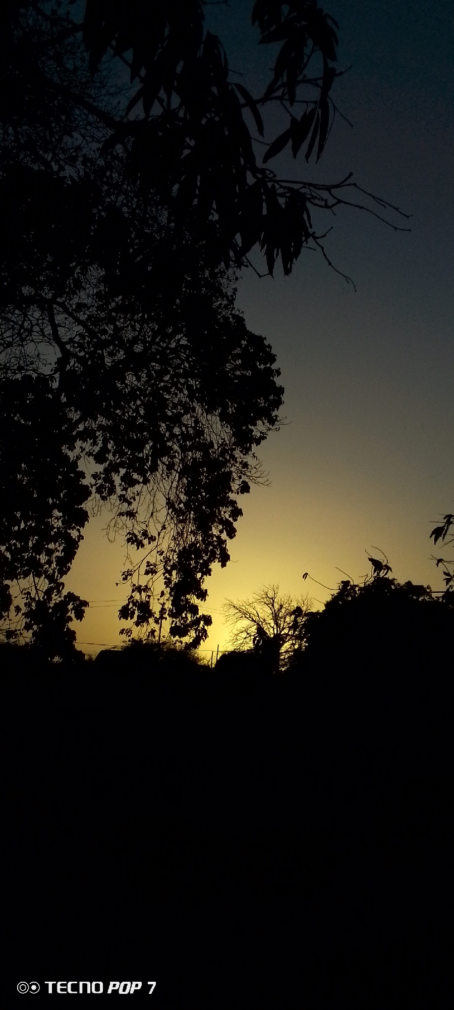 The image captures a sunset scene in Altagracia, Venezuela. The foreground is predominantly dark, obscuring the ground and any potential subjects or objects. Silhouetted trees and foliage frame the upper portion of the image, contrasting against the gradient of the sky. The sky transitions from a dark blue at the top to a yellowish-orange near the horizon where the sun is setting. No people or interactions are visible. The camera or device identification, "Tecno Pop 7," is displayed in the lower-left corner.