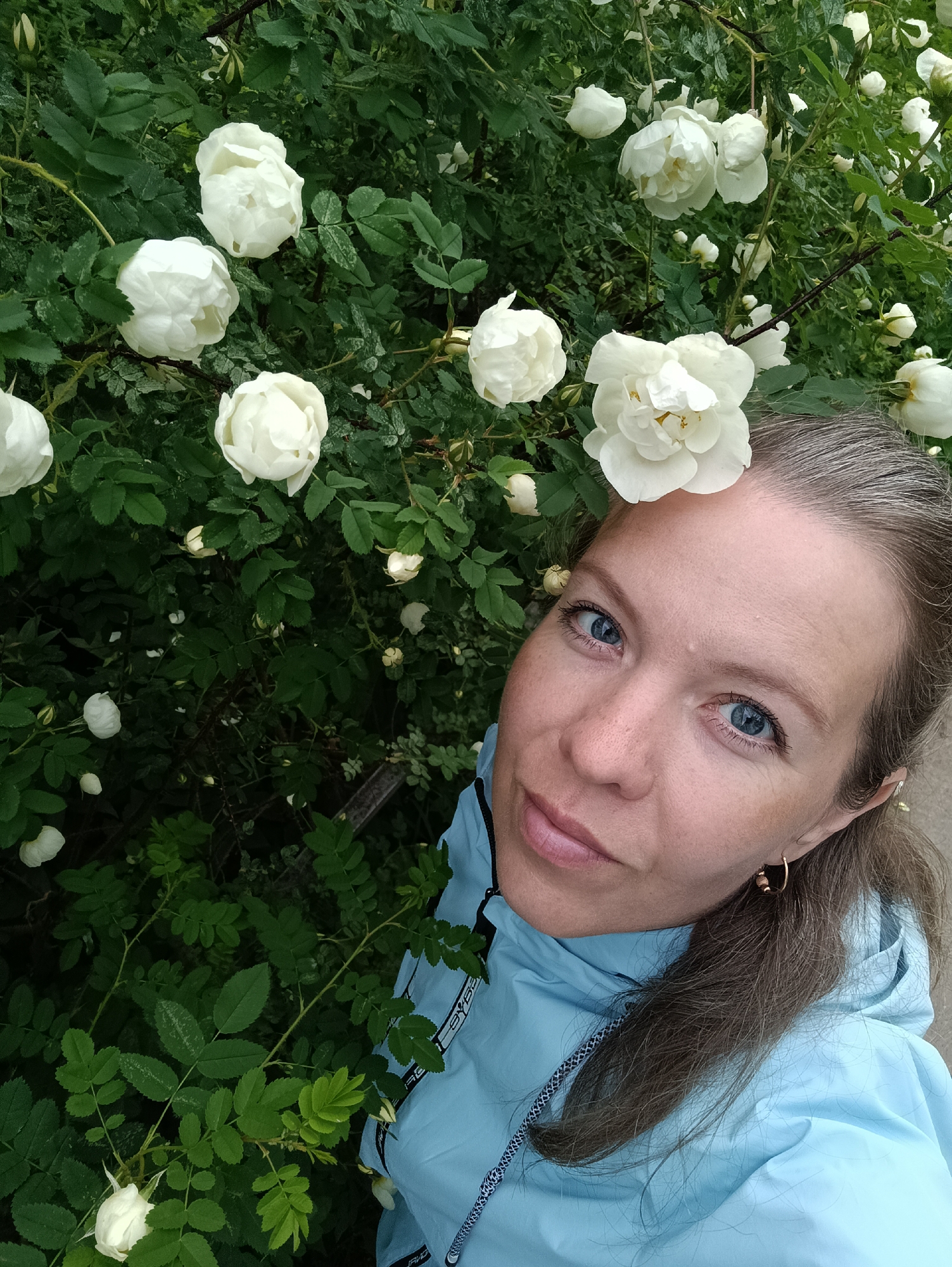 A woman stands near a bush of white roses. One rose is placed on top of her forehead. The woman has light skin, blue eyes, and brown hair pulled back. She is wearing a light blue jacket. Her gold hoop earrings are visible. The rose bush is full of white blooms and green leaves. It is raining. The location is likely near the city of Chaikovsky, Russia.