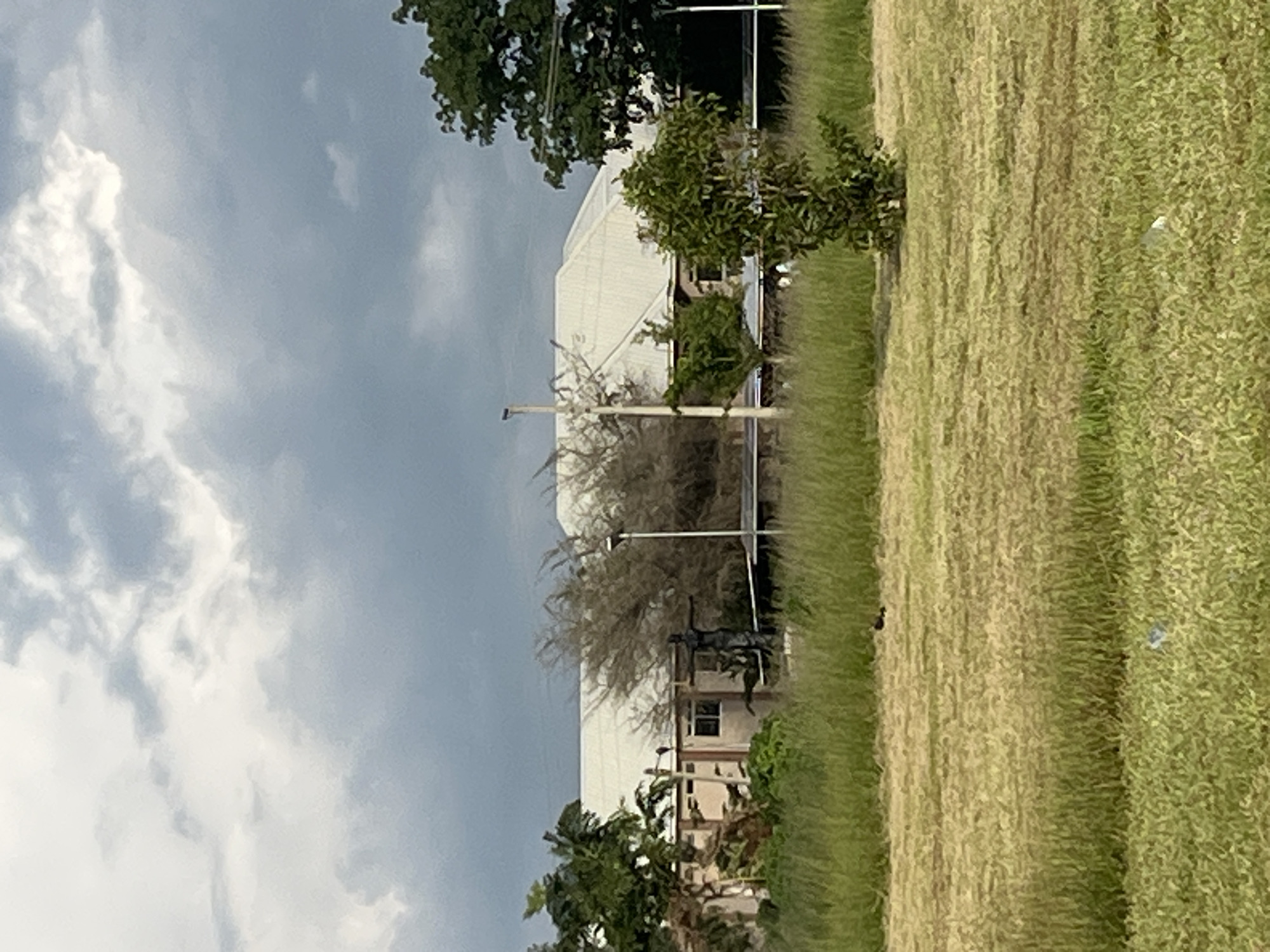The image shows a cloudy sky over a building with a light-colored roof. In the foreground, there is a large grassy field with some tall grass and shorter mown grass. A dark statue of a person with outstretched arms is visible in the middle ground, to the left of a lamppost. Several trees and shrubs are scattered throughout the scene. The building appears to be a school or institutional structure, with a few windows visible. There are no visible people or vehicles in the image. The overall impression is of an overcast day in an outdoor setting. The image is not definitively located in Jos, Nigeria, as no specific landmarks or identifying features are present.