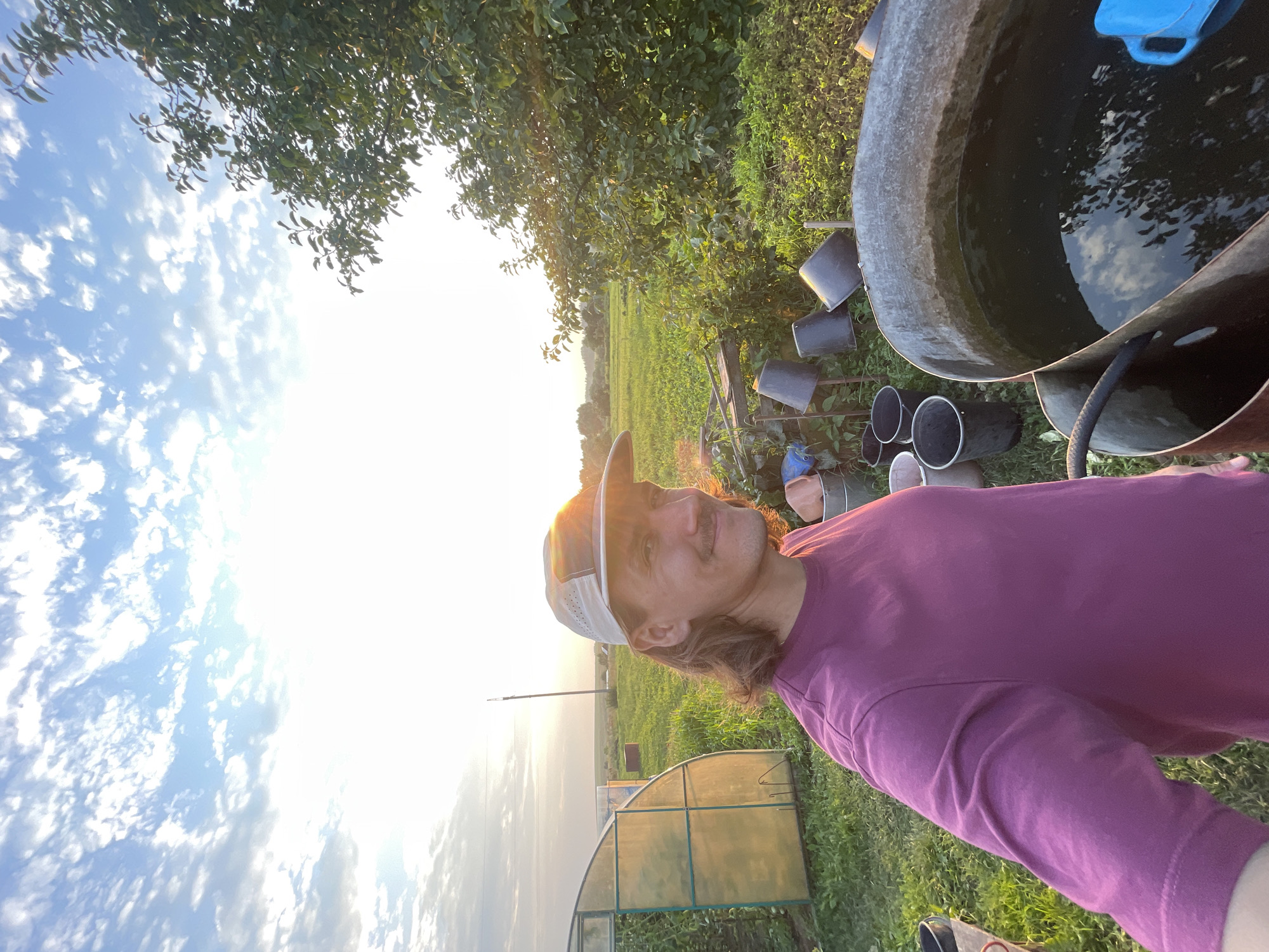 In Perevoznoe, Russia, a man wearing a purple long-sleeved shirt and a beige cap with a patch stands in a rural outdoor setting. He is positioned in the foreground, facing towards the camera with a slight smile and a mustache. Behind him, the sun is setting, casting a warm glow and visible lens flare on his face and cap.
To the left of the man, a small greenhouse with a translucent cover is visible, surrounded by greenery and what appears to be crops. A utility pole stands in the distance behind the greenhouse.
In the mid-ground and to the right of the man, there are several black buckets and containers arranged in a cluster. Some are upright, while others are tipped over. Further to the right, a large, weathered metal trough filled with dark water is prominent. A black hose enters the trough from the left, and a blue watering can is visible within the water on the right side of the trough.
The background is dominated by a field of green crops stretching towards the horizon, under a sky with scattered white clouds and the setting sun. A large, leafy tree is situated to the right of the man, its branches extending towards the sky. The overall environment suggests a garden or farm area.