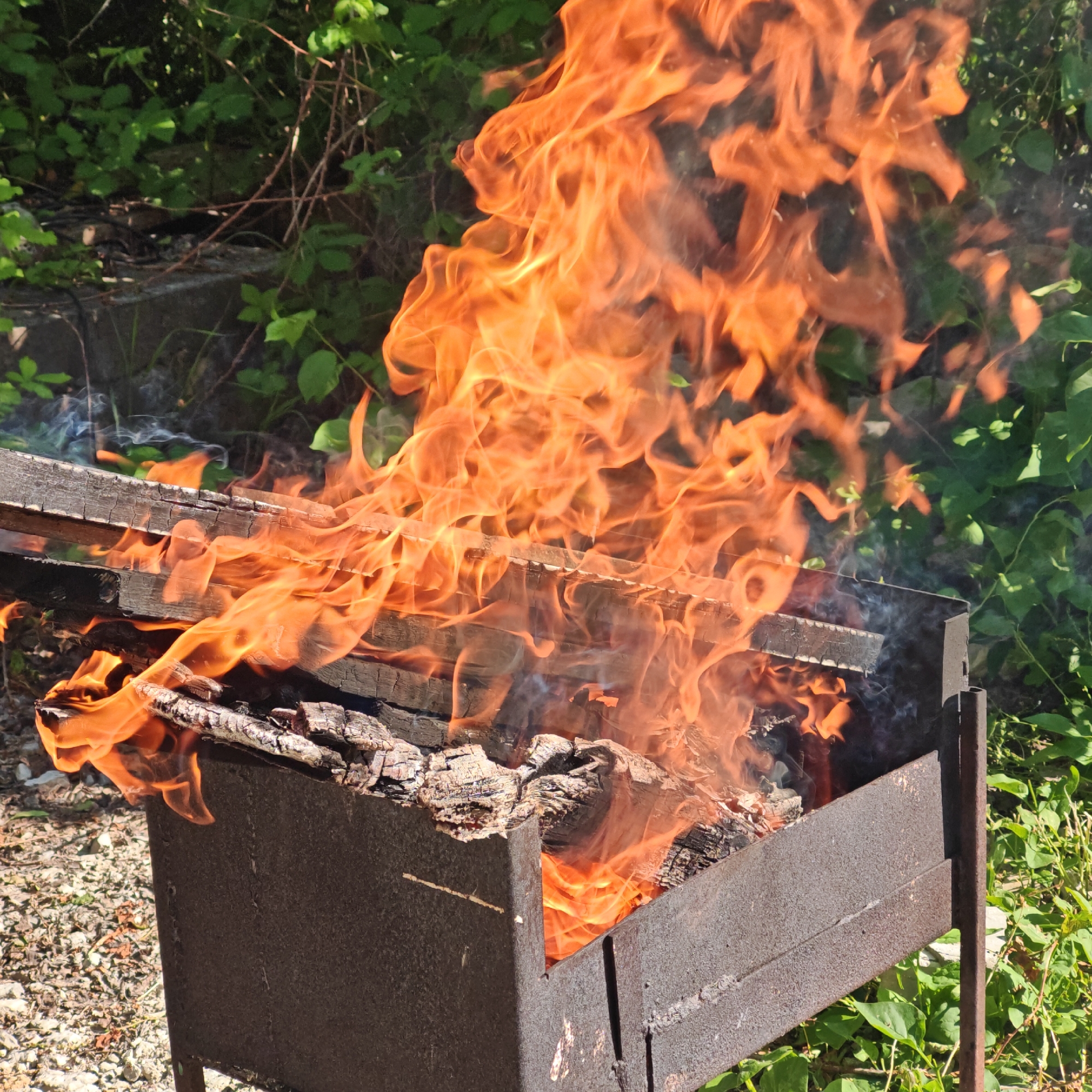 The image shows a metal brazier filled with burning wood. Flames rise high above the box, which is positioned outdoors on a surface of small gravel and patches of green vegetation. In the background, more dense greenery is visible. The location is possibly in the городское поселение Щелкино, Ukraine, considering the surrounding environment.