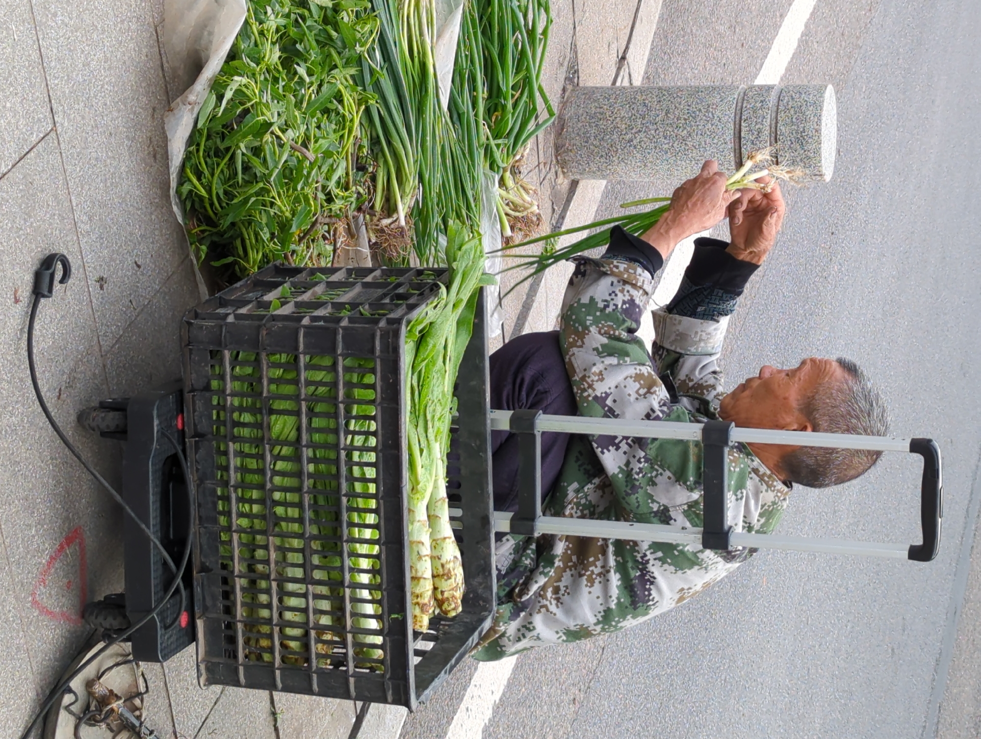 An older man, likely a street vendor, is depicted on a paved sidewalk in Jiangjin, China, tending to his fresh produce stall during the daytime. The man, with short grey hair and wearing a camouflage-patterned long-sleeved shirt, is actively sorting or preparing green onions, holding a bunch with roots in both hands.
His mobile stall features a variety of green vegetables. A prominent black plastic crate is filled with crisp, leafy green vegetables, resembling lettuce. Next to this, a large mound of vibrant green leafy vegetables, possibly water spinach, rests on a white cloth. Multiple bundles of fresh green onions with their roots are also neatly arranged for sale. The setup includes a visible trolley frame, suggesting the portability of his vendor's cart.
The background shows a textured grey and white cylindrical stone structure, potentially a planter or bollard, and a paved road with white markings. The bright, even lighting indicates clear weather. No discernible text is visible in the image. The man appears focused on his task of arranging the produce.
