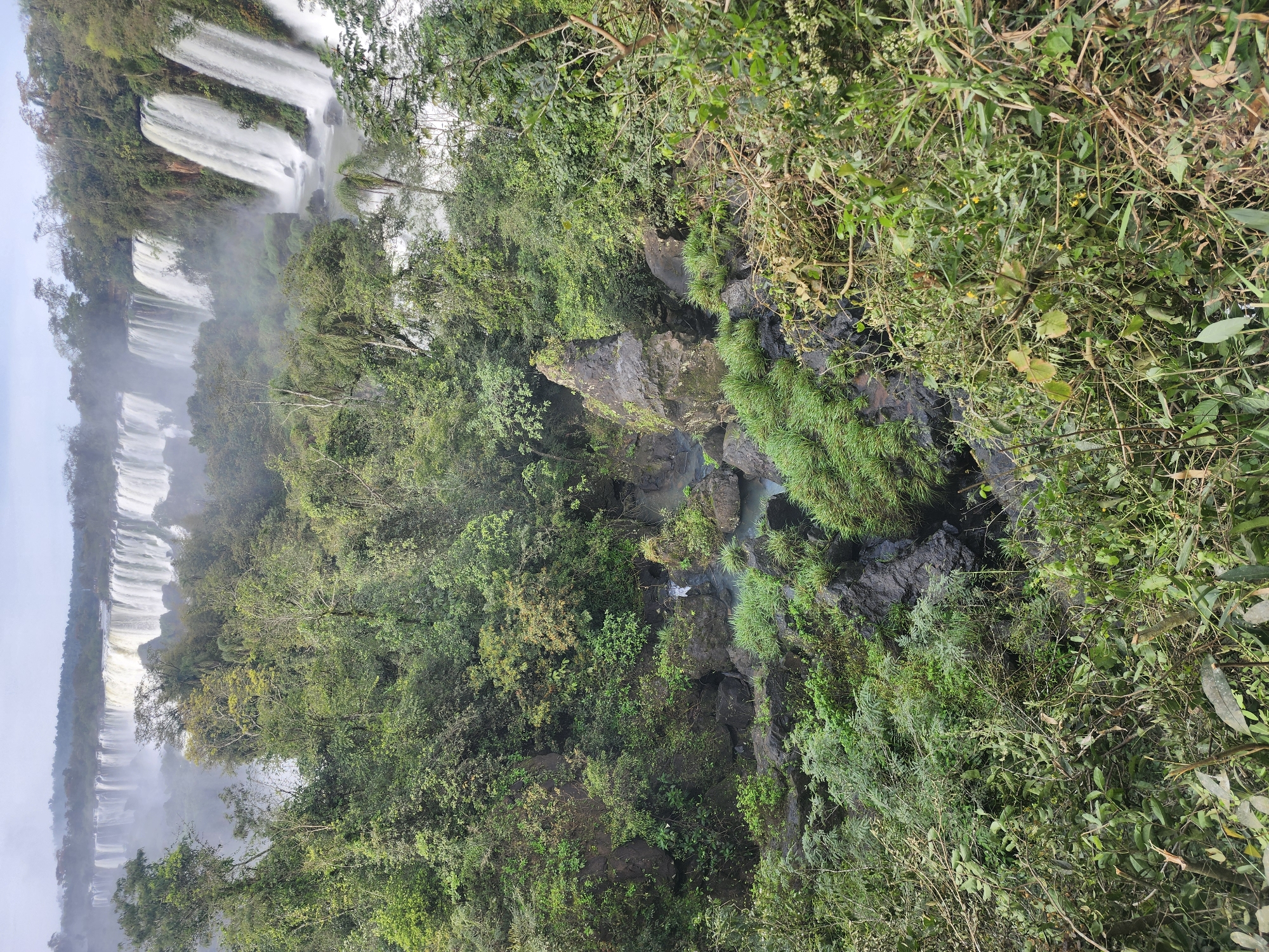 The image depicts a wide, panoramic view of the Iguazu Falls in Puerto Iguazú, Argentina, on an overcast day. The falls are a series of cascades, some wider and more voluminous than others, stretching across the frame in the background. They are partially obscured by mist, which also creates a hazy effect over the entire scene. The foreground and midground are dominated by dense, lush green vegetation. Tall trees with thick foliage line the top of the falls, and lower down, the vegetation becomes a mix of shrubs, vines, and grasses that cling to rocky outcrops and slopes. In the middle ground, dark, wet rocks are visible interspersed with pools of turquoise water where the waterfalls begin their descent. The overall impression is of a powerful natural landscape characterized by the immense force of the water and the vibrant, untamed growth of the surrounding jungle.