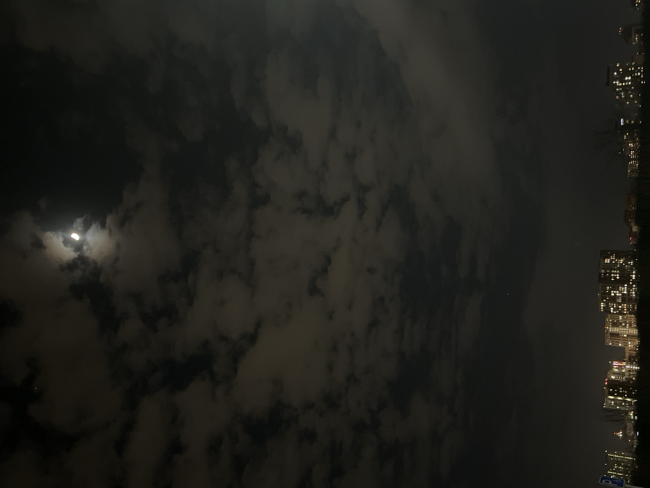 The image captures a nighttime urban landscape in Perm, Russia. The sky, occupying the upper two-thirds of the frame, is dark with extensive, fragmented cloud cover. A bright crescent moon, illuminated from the right, is visible through a break in the clouds in the upper-center, with a distinct, brighter celestial body (likely a star or planet) positioned to its upper left. The lower third of the image displays a panorama of multi-story buildings, characterized by numerous illuminated windows emitting warm, yellow light. Dark, silhouetted vegetation is present in the immediate foreground, obscuring the base of some structures. A white square sign with a blue border and a white 'P' symbol is partially visible on the far-left edge of the foreground. There are no individuals or overt actions depicted.