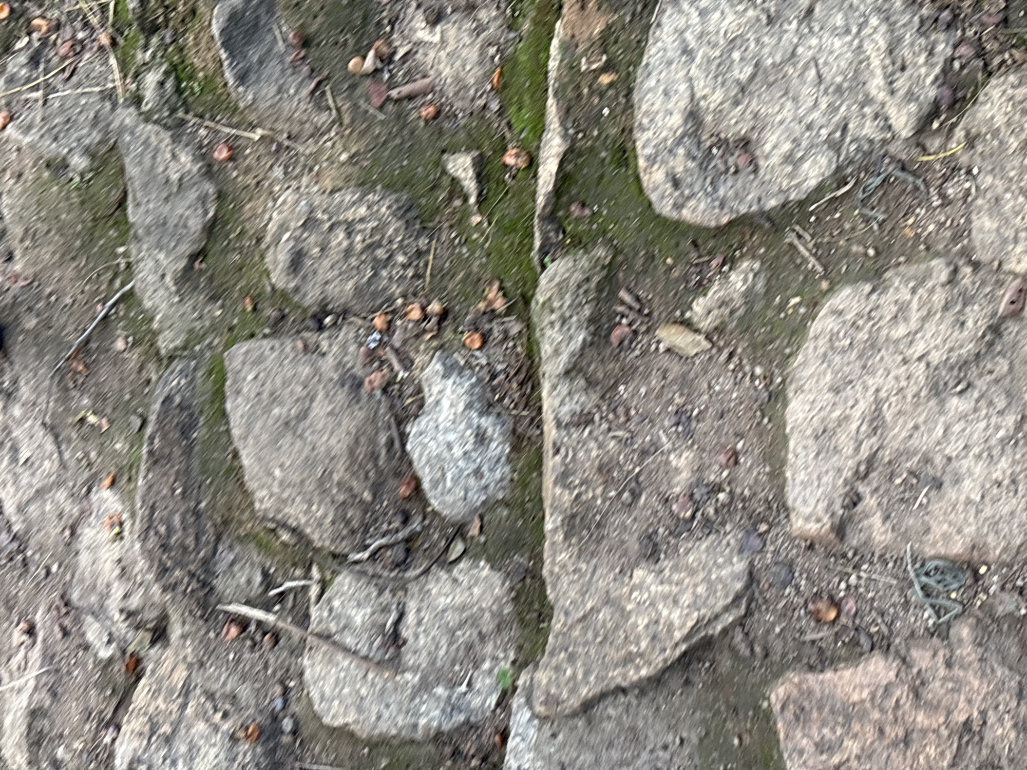 The image displays a close-up, overhead view of a cobblestone pathway or ground in Jos, Nigeria. The stones are irregular in shape and size, with visible cracks and gaps filled with soil, small pebbles, and patches of green moss. Scattered across the surface are a few dry leaves and what appear to be small, dark organic materials, possibly nuts or seeds. The overall texture is rough and weathered, suggesting an outdoor environment that has been exposed to the elements. There are no people or animals visible in the frame.