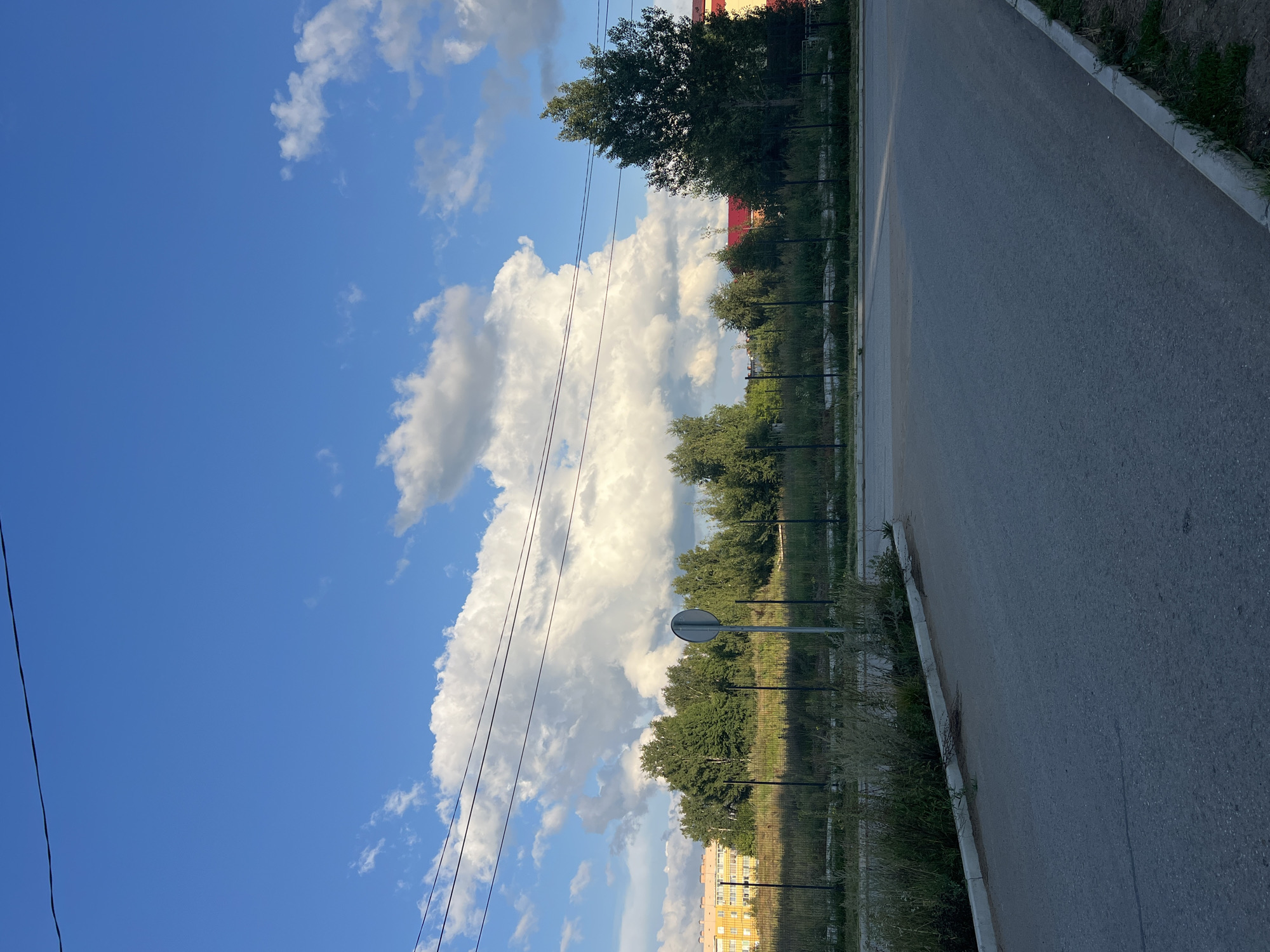 This image depicts an outdoor scene with a road in the foreground and a cloudy sky above. The road appears to be made of asphalt and has a curb on the right side. Beyond the road, there is a fenced-off area with tall grass and vegetation. In the background, a line of trees forms a dense green barrier, with some buildings visible behind the trees. A large, fluffy cloud dominates the sky. The lighting suggests it is either early morning or late afternoon. The provided metadata indicates the location as Noviy, Russia. There are no people or animals visible in the image. The overall impression is one of a semi-urban or suburban environment.