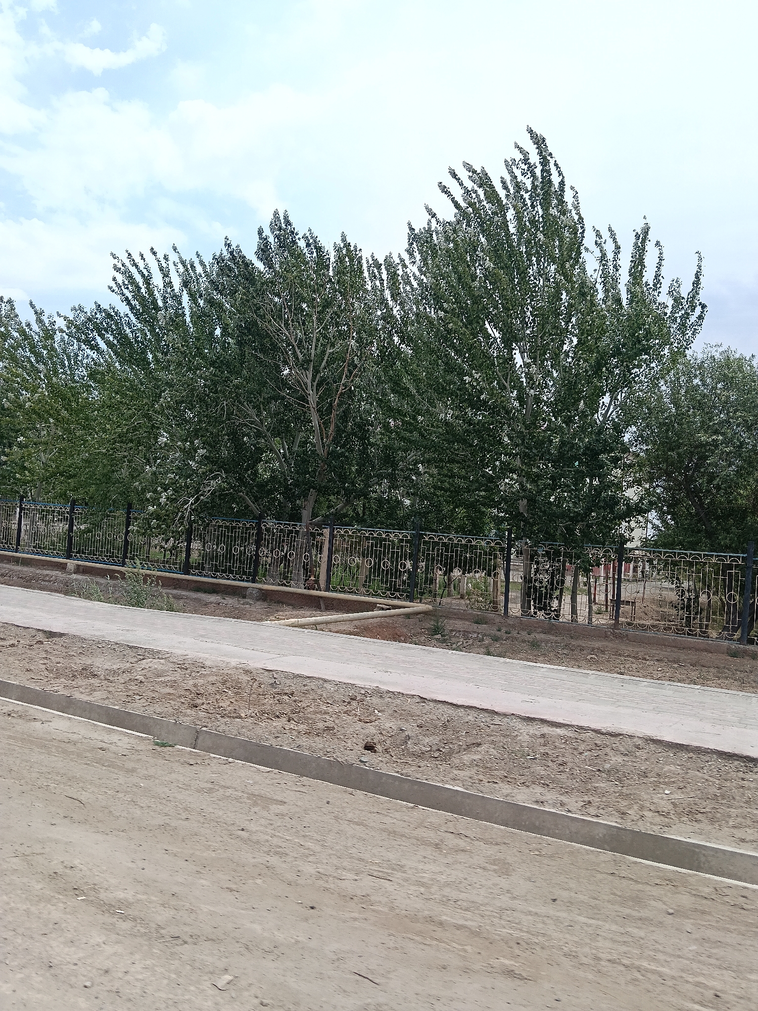 The image shows a street scene in the city of Altinkul, Uzbekistan. A decorative metal fence with gold accents separates a sidewalk from a row of tall, leafy green trees. The sidewalk is made of concrete and runs parallel to the street, which is dirt and gravel. The sky is partly cloudy with white clouds against a pale blue background.