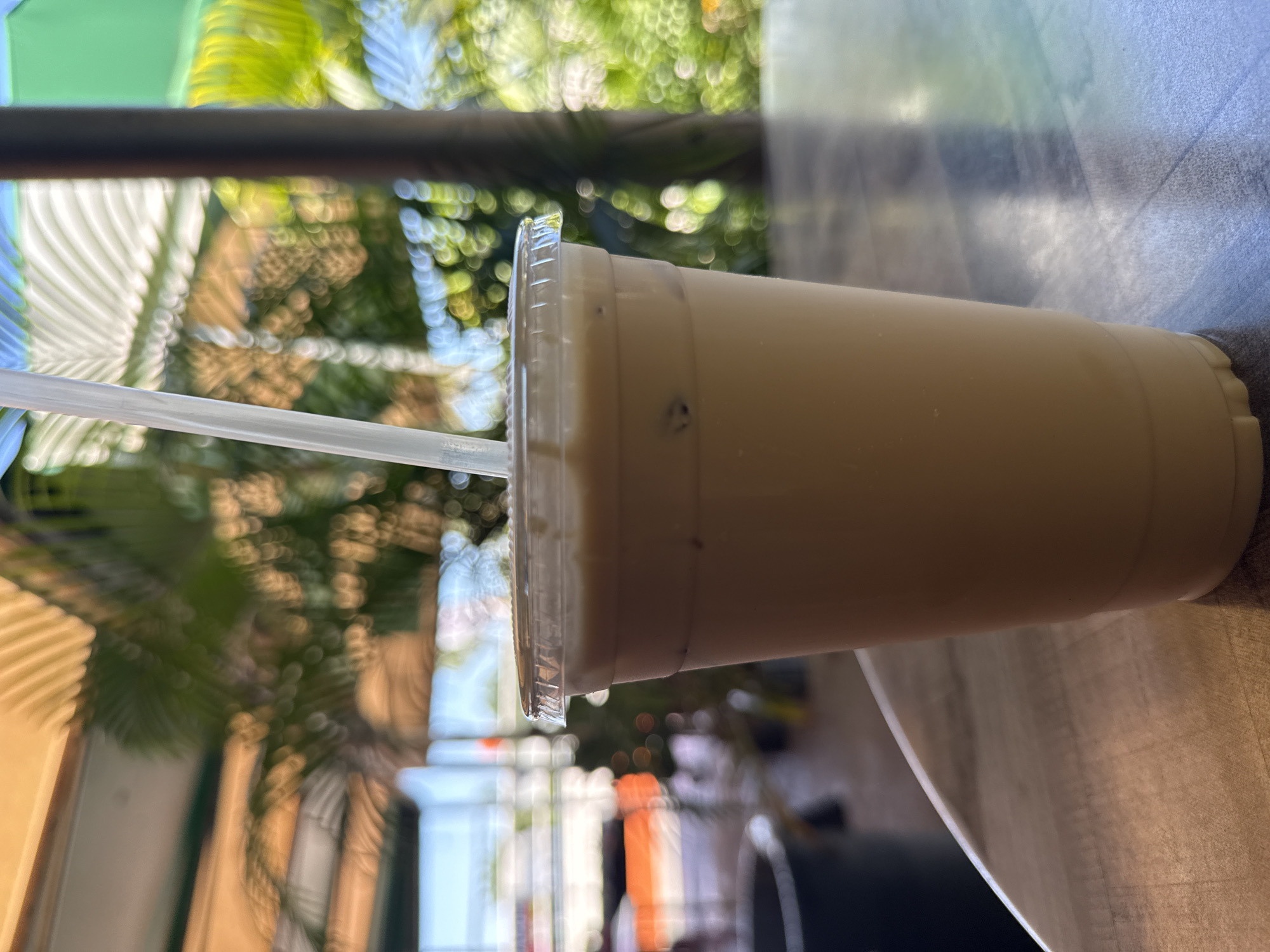 A close-up, slightly sideways image shows a clear plastic cup with a straw, filled with a light brown beverage, likely an iced coffee or similar drink. The cup has a ridged lid and condensation is visible on the side.
In the background, there is a blurred outdoor scene, featuring a combination of green foliage and architectural elements. The light and color suggest a sunny day. The blurred vegetation appears to be palm trees, giving a tropical or subtropical impression.
Based on the information provided about the location being in Davie, Florida, the vegetation is consistent with the climate and typical landscaping of that area. The beverage is consistent with being purchased from a local coffee shop in the outdoor dining area.