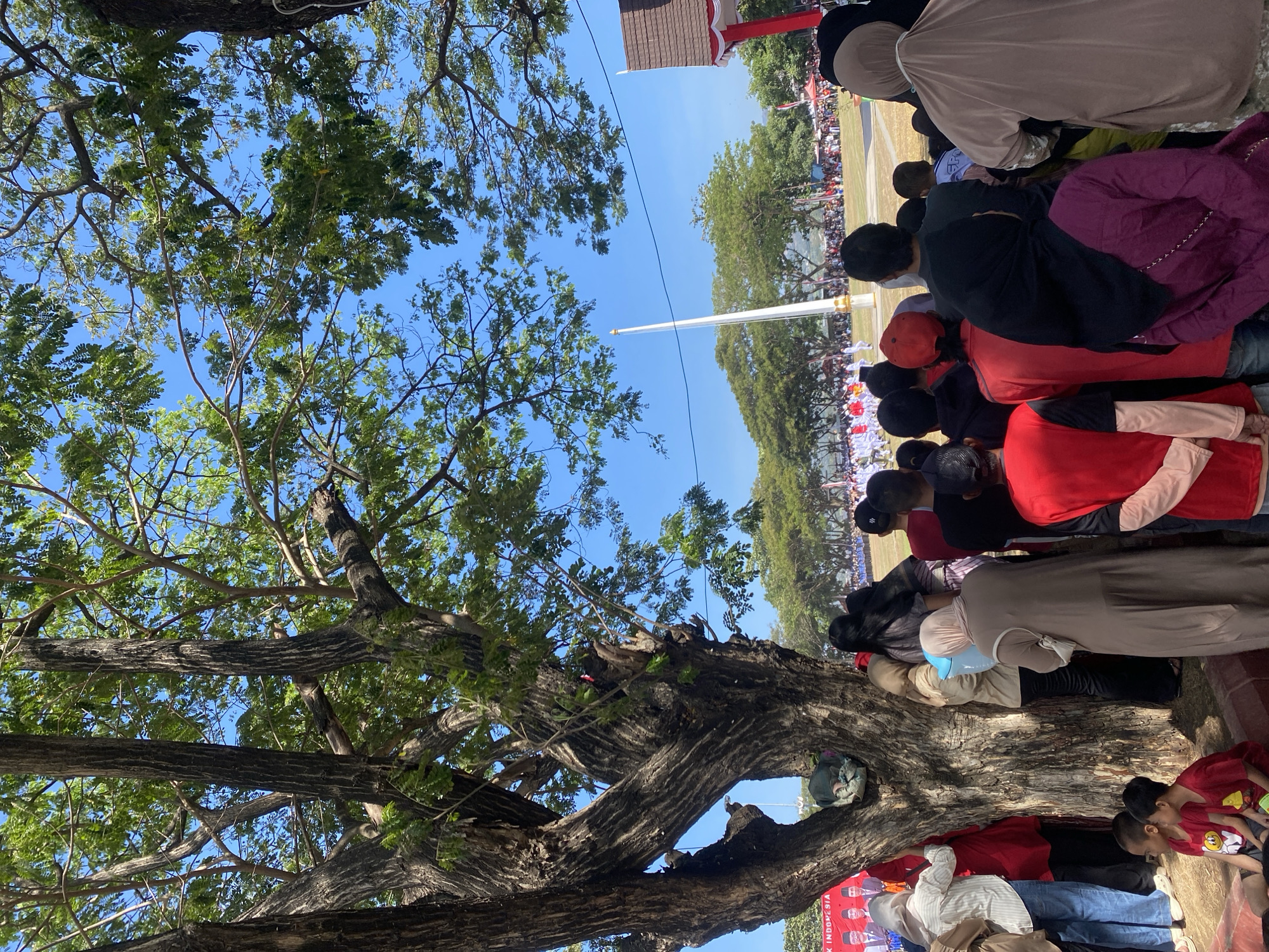 A wide-angle, eye-level shot depicts a gathering of people in an outdoor, possibly park-like, setting. The foreground is dominated by a large tree with thick, gnarled branches and lush green foliage that partially obscures the view of the sky. A portion of a red banner with an image of two men and the text "K INDONESIA" is visible to the left of the tree.
In the middle ground and background, a large crowd of people are gathered, facing a flag pole in the distance. Many are wearing white uniforms. The atmosphere appears to be formal, possibly a ceremony or parade. The sky is a clear, bright blue.
The location is identified as the city of Bantaeng, Indonesia, suggesting a public event taking place in a town square or a similar communal space. The presence of the banner and the uniformed individuals hint at a national or local celebration. The people in the foreground, who are not part of the uniformed group, are standing close to the tree, observing the event. Their attire is varied, with some individuals wearing headscarves.