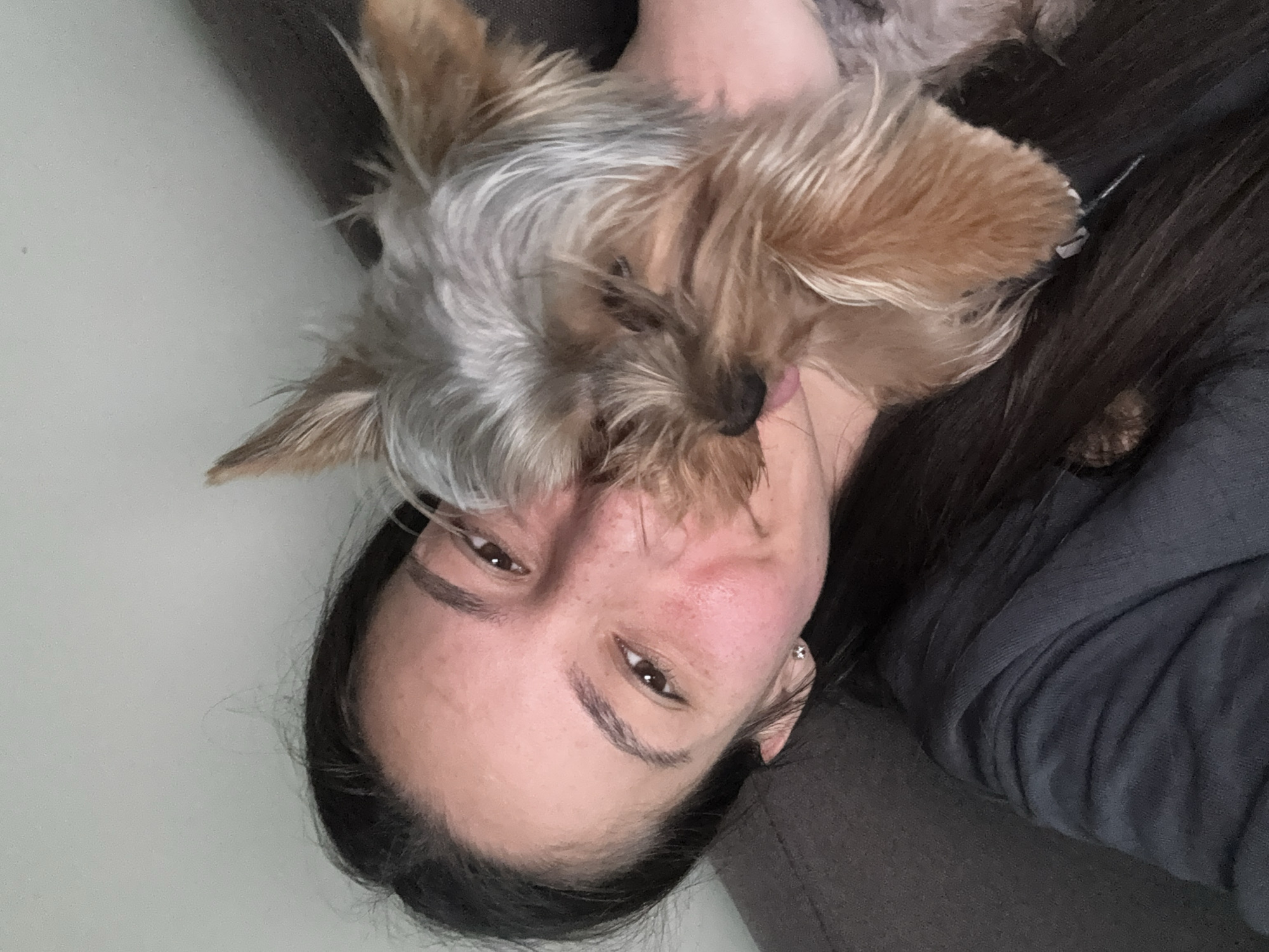 A woman with long dark hair is holding a small, brown and gray Yorkshire terrier-type dog close to her face. The dog's fur is disheveled. The woman is looking at the camera with brown eyes. She is wearing a gray top. The background appears to be a neutral-colored wall. There is no indication of Varna, Bulgaria, in the image.
