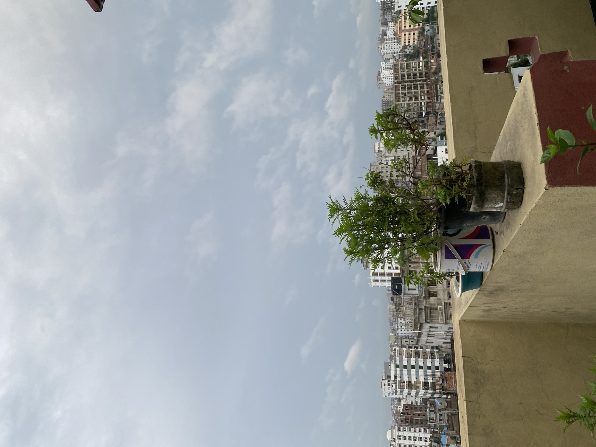 This image depicts a rooftop view of a dense urban cityscape, likely in Dhaka, Bangladesh, under an overcast sky. In the foreground, a yellow-painted concrete wall runs horizontally across the frame. On top of this wall, several potted plants are arranged. One pot is a light blue ceramic container. Next to it sits a large white plastic container with colorful abstract designs in red, blue, and purple. To the right of this, a dark planter holds a more mature, leafy plant. Further to the right, another weathered, grey planter, possibly made from a repurposed plastic bottle, contains a smaller, less developed plant. A small green seedling is visible growing near the base of the wall in the bottom left corner of the frame.
In the mid-ground and background, a sprawling collection of buildings stretches across the horizon. These buildings vary in height and architectural style, with many appearing to be residential or commercial structures. Some buildings are modern with clean facades, while others show signs of age or ongoing construction. The overall impression is of a densely populated urban environment. The sky is a uniform grey, suggesting cloudy or potentially rainy weather. The vantage point appears to be from a slightly elevated position, such as a rooftop or a higher floor of a building, offering a panoramic view of the city. No people are visible in the scene.