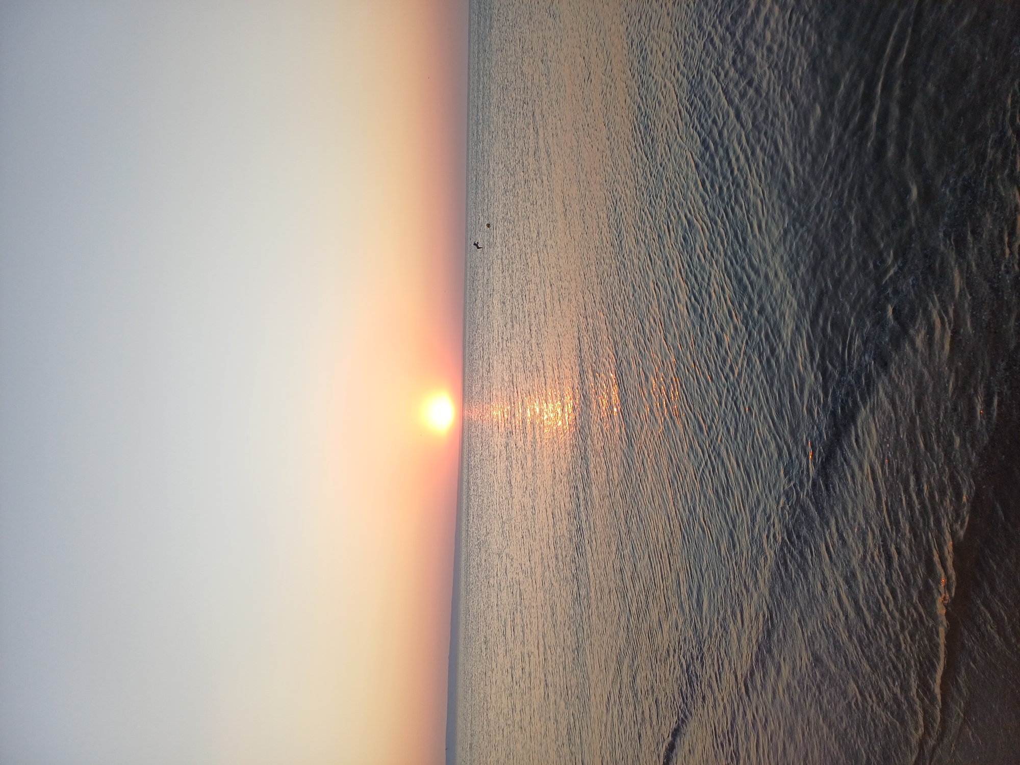 The image depicts a serene sunset over the Black Sea, viewed from the beach in Varna, Bulgaria. The sun, a bright orb, is low on the horizon, casting a warm, golden glow across the water. The sky transitions from a pale, almost white hue at the top to soft shades of orange and pink near the horizon. Small waves gently lap at the shore, creating a textured pattern on the water's surface. In the distance, a thin line of land is visible, likely the coastline. A few birds are present in the sky, one appearing to be in flight. The overall atmosphere is tranquil and peaceful, capturing a moment of natural beauty.